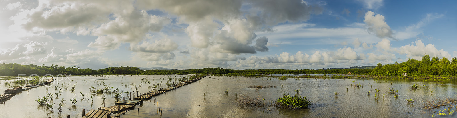 Sigma 18-50mm f/3.5-5.6 DC sample photo. Mangrove panorama photography