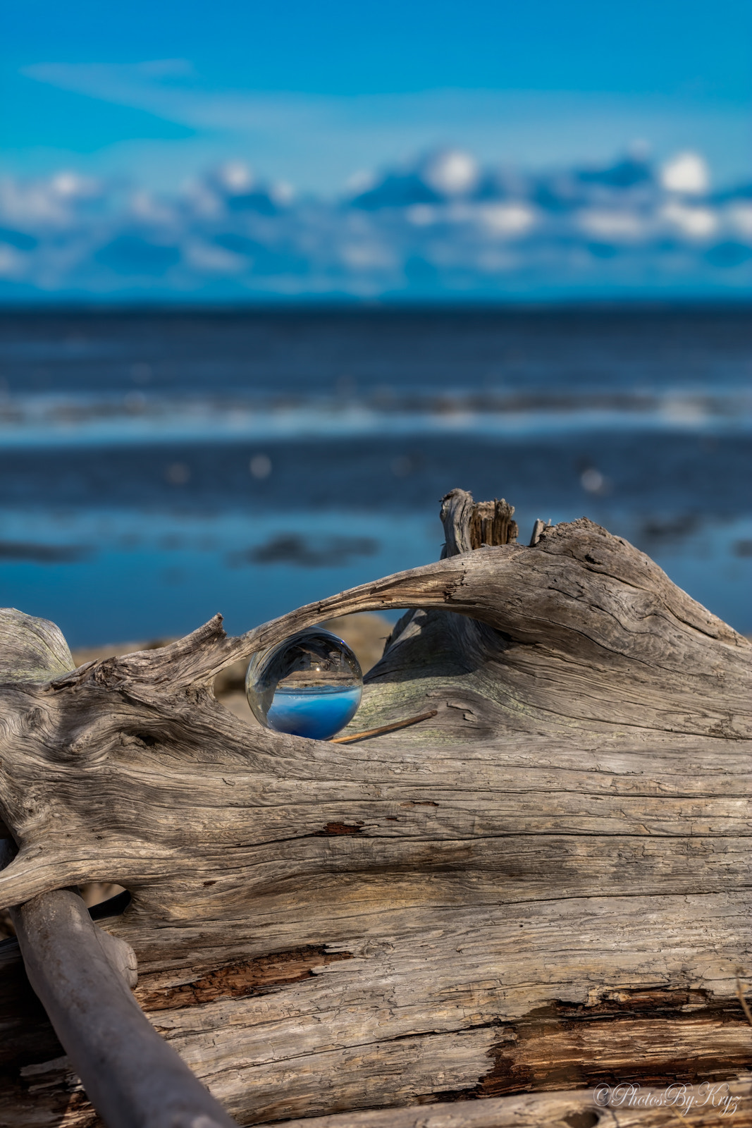 Canon EF 100mm F2.8L Macro IS USM sample photo. Beachy refractions photography