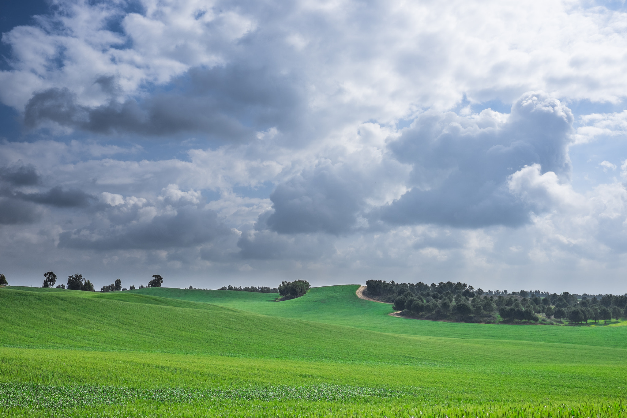 Fujifilm X-T1 + Fujifilm XF 23mm F1.4 R sample photo. Israel photography