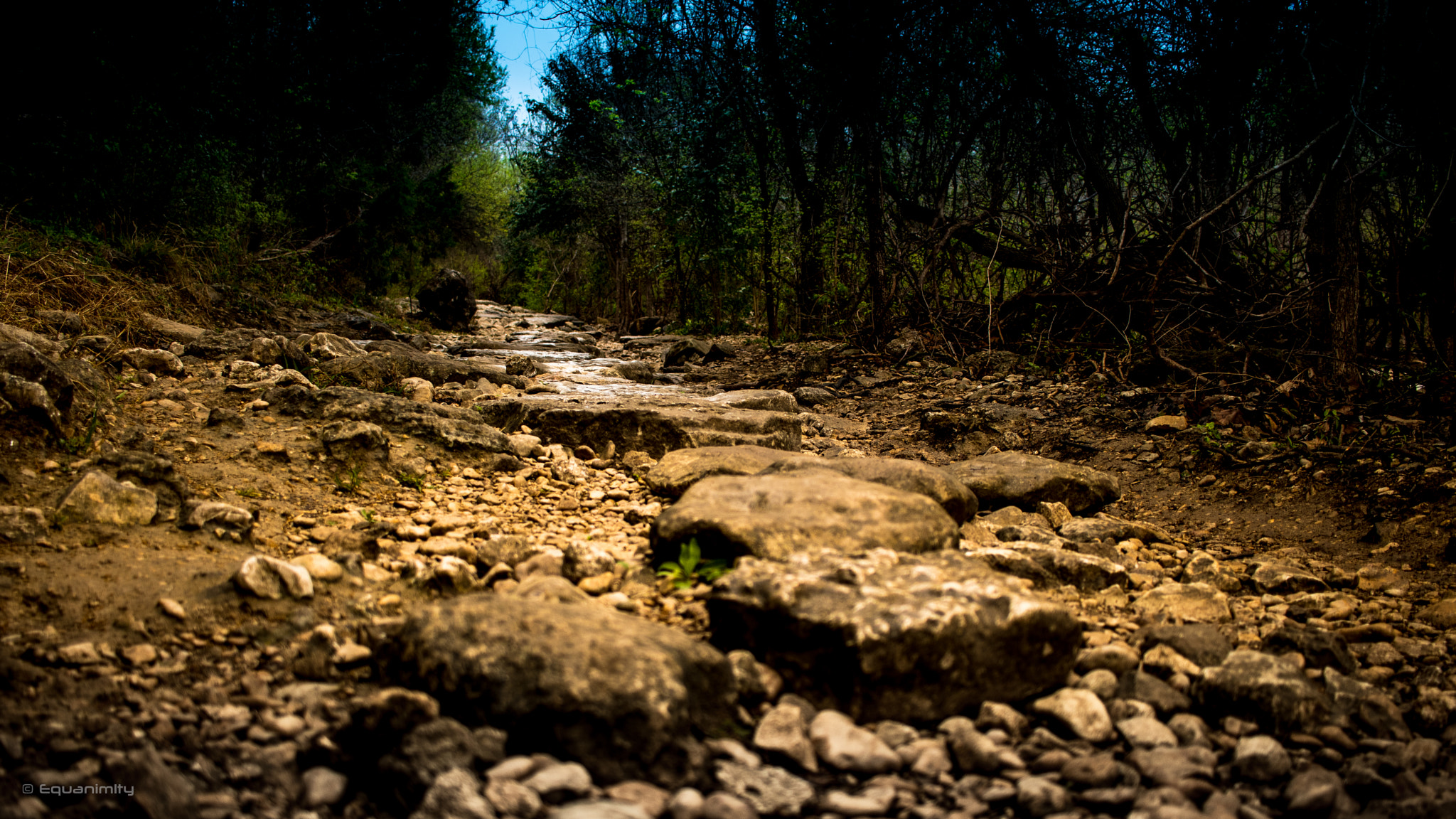 Canon EOS 750D (EOS Rebel T6i / EOS Kiss X8i) sample photo. Broken pathway leading to light photography