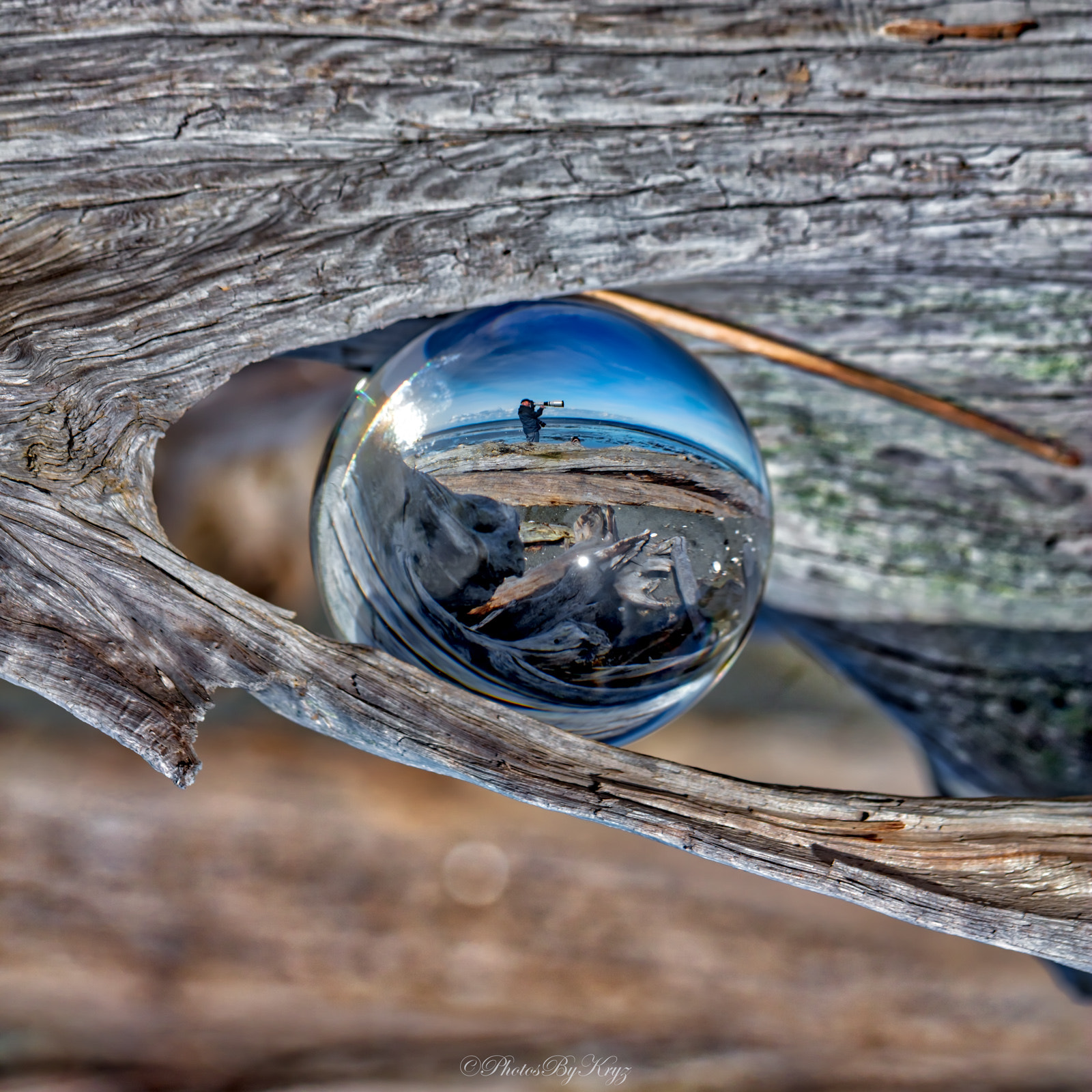 Canon EF 100mm F2.8L Macro IS USM sample photo. The refracted photographer photography
