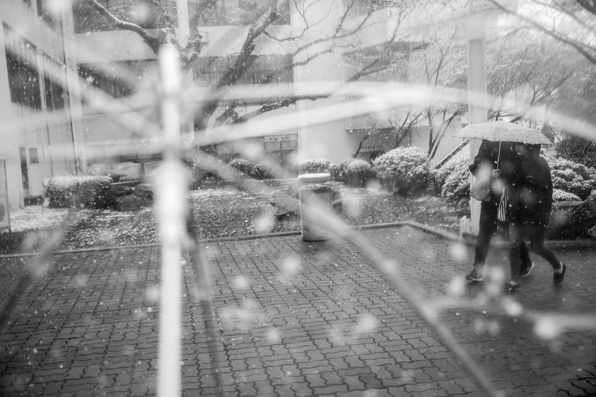Fujifilm XF 23mm F1.4 R sample photo. 눈 오는 날 photography