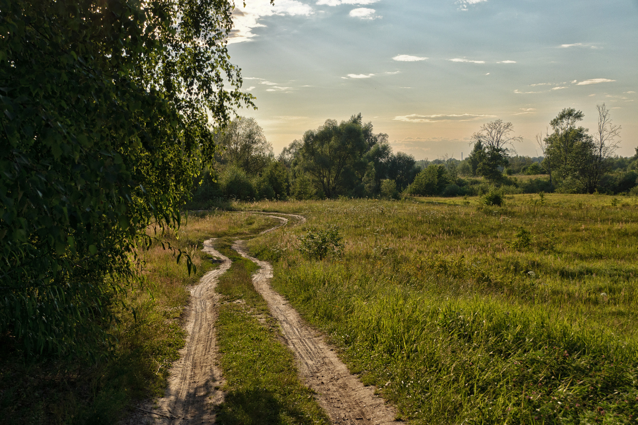 Nikon D5000 + Sigma 18-200mm F3.5-6.3 II DC OS HSM sample photo. Winding road photography