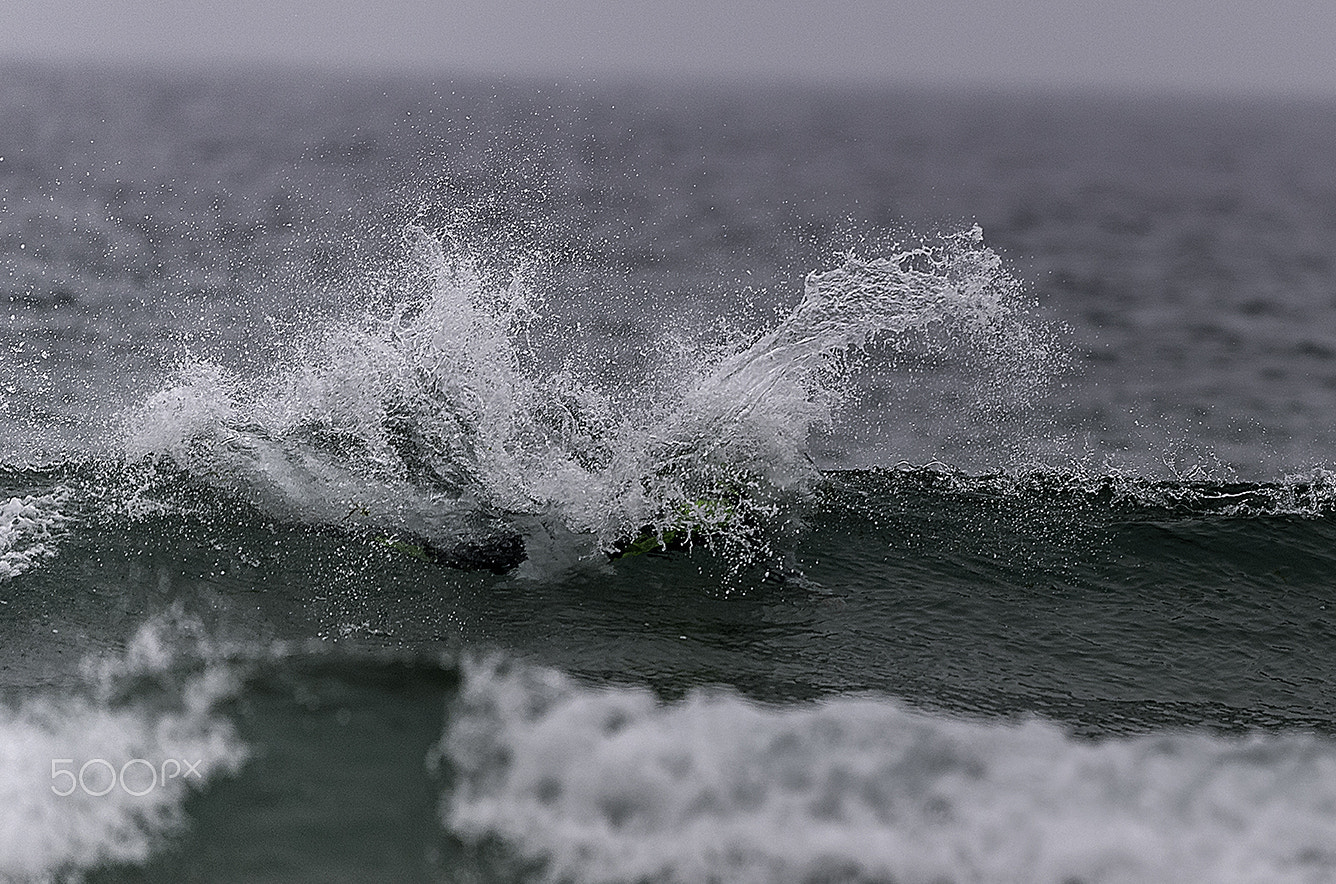 Nikon D5 sample photo. Surf photography