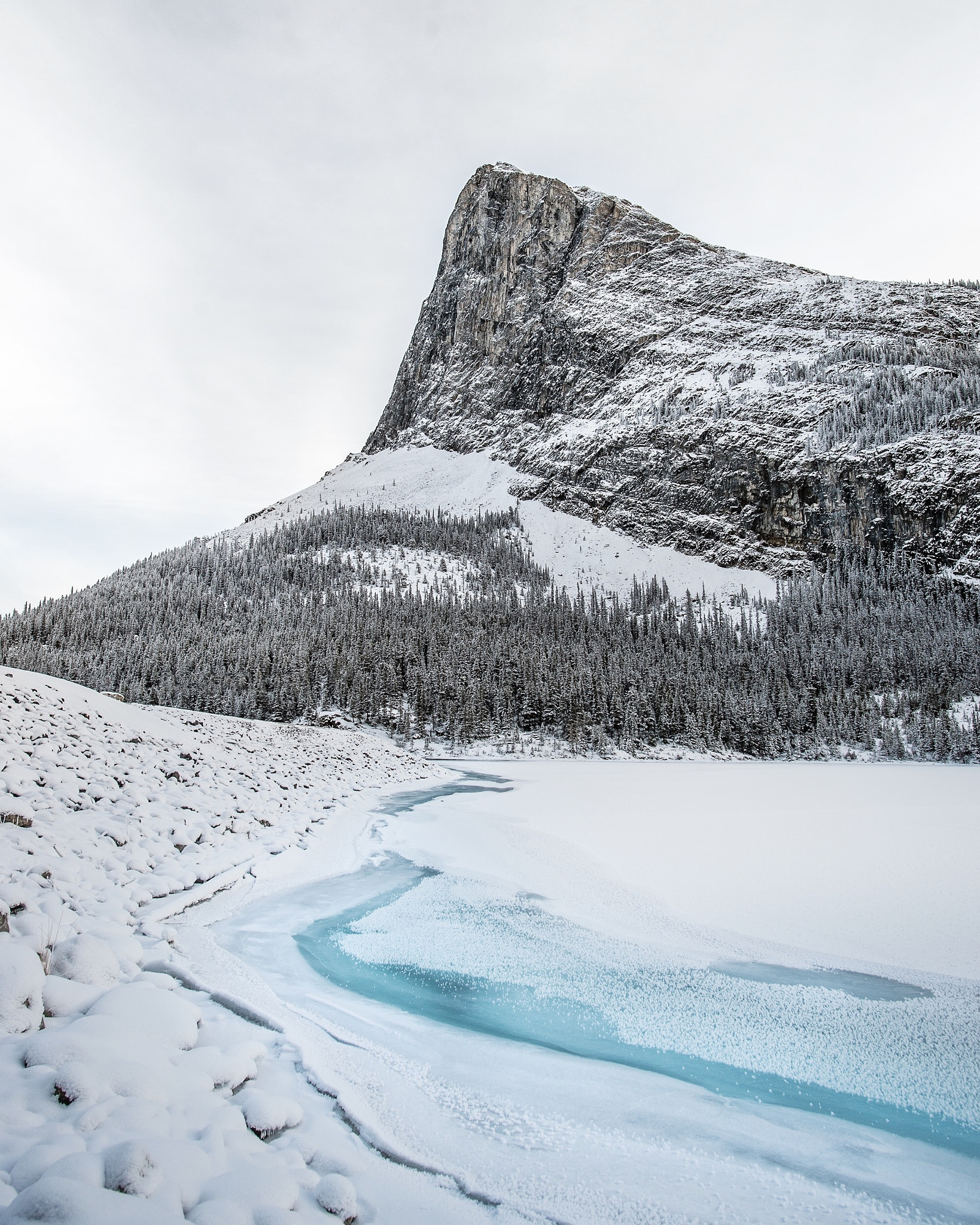 Nikon D4 + Nikon AF-S Nikkor 20mm F1.8G ED sample photo. Ha ling peak. canmore. alberta. photography