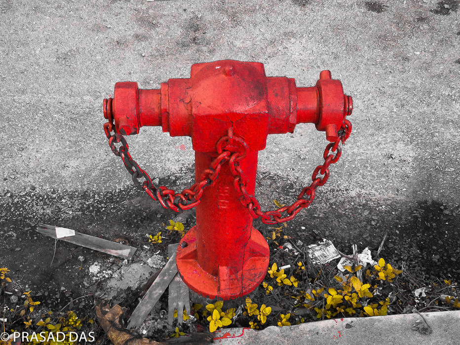 Nikon Coolpix S6900 sample photo. Fire hydrant photography