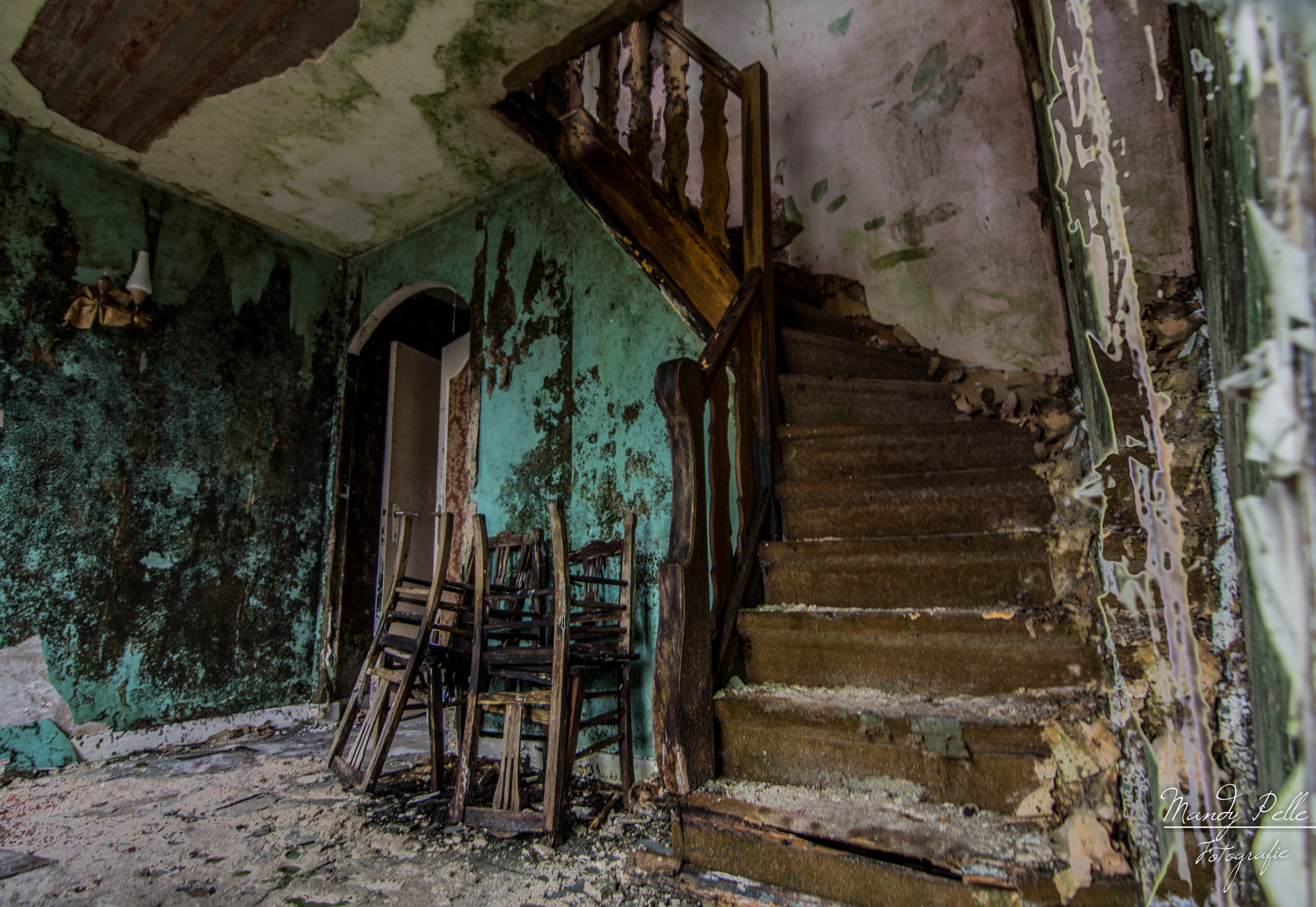 Tokina AT-X Pro 11-16mm F2.8 DX sample photo. Mold house photography
