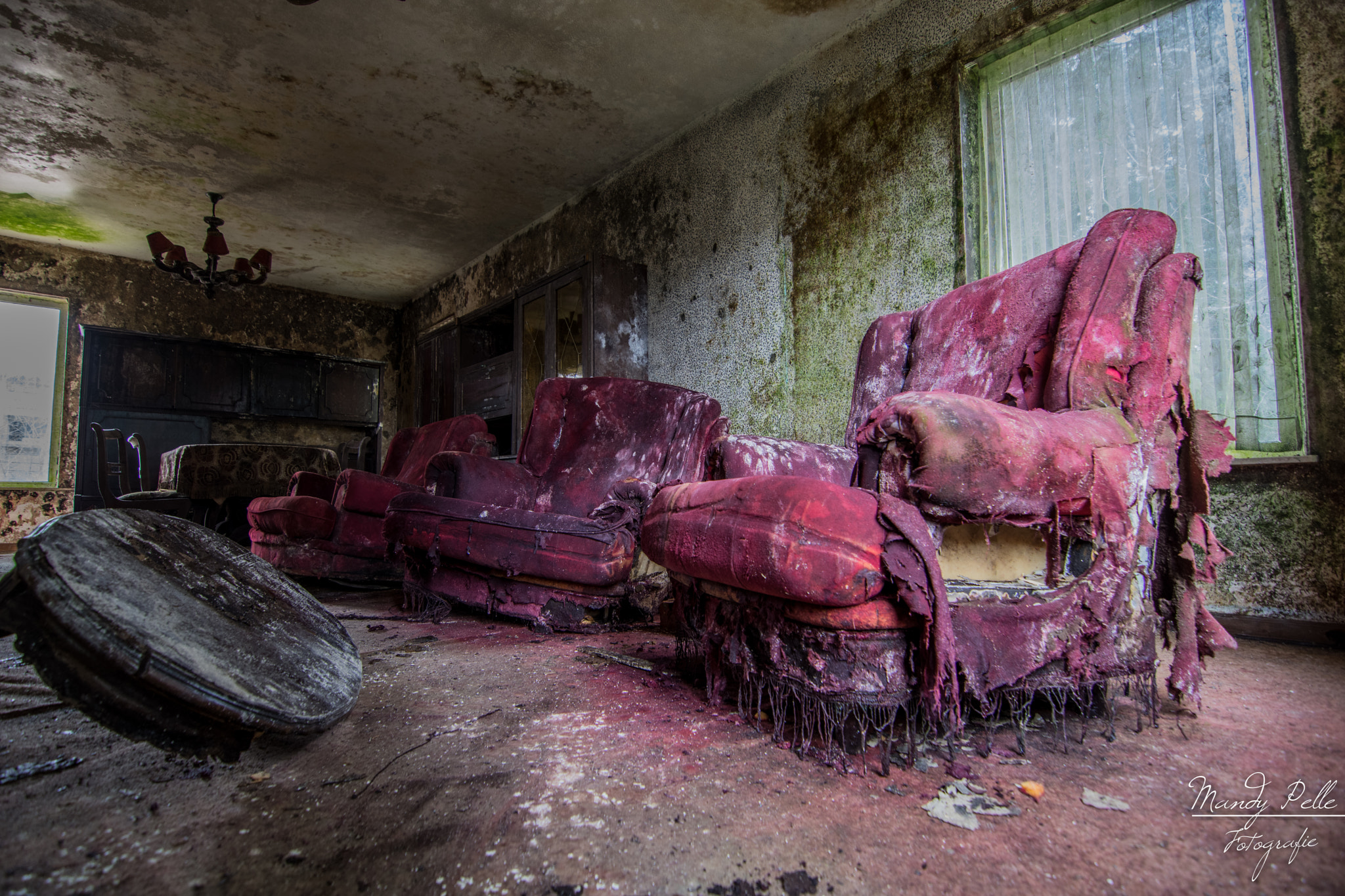 Tokina AT-X Pro 11-16mm F2.8 DX sample photo. Mold house photography