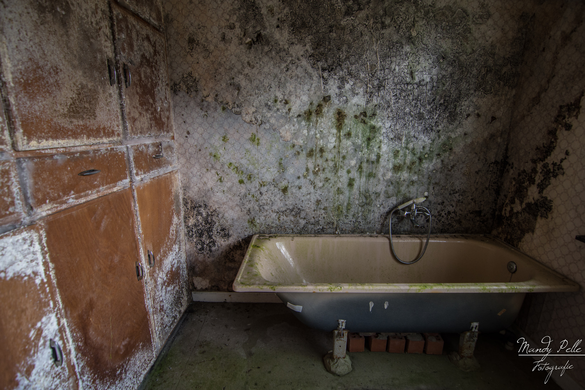 Tokina AT-X Pro 11-16mm F2.8 DX sample photo. Mold house photography