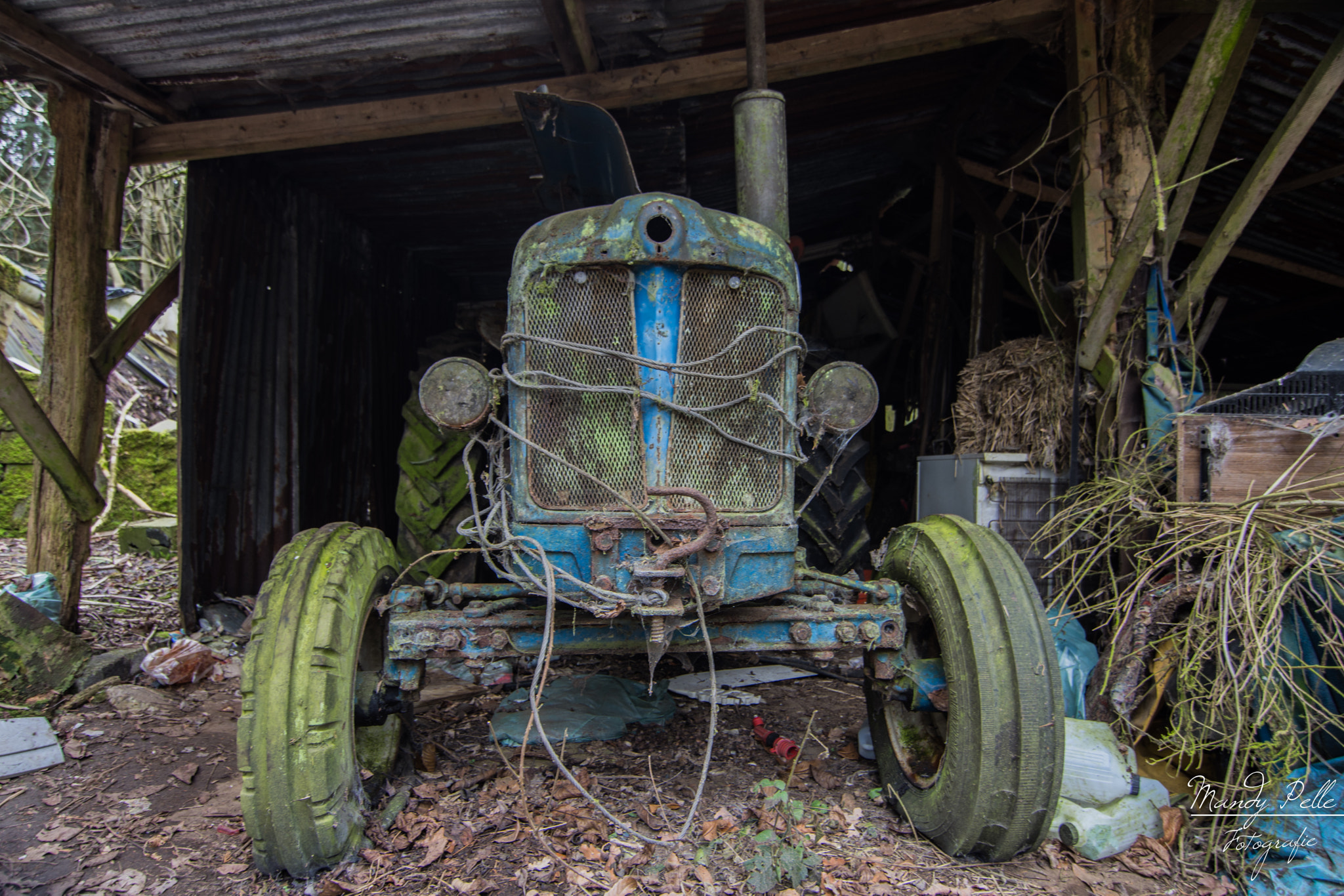 Tokina AT-X Pro 11-16mm F2.8 DX sample photo. Lost in the woods photography