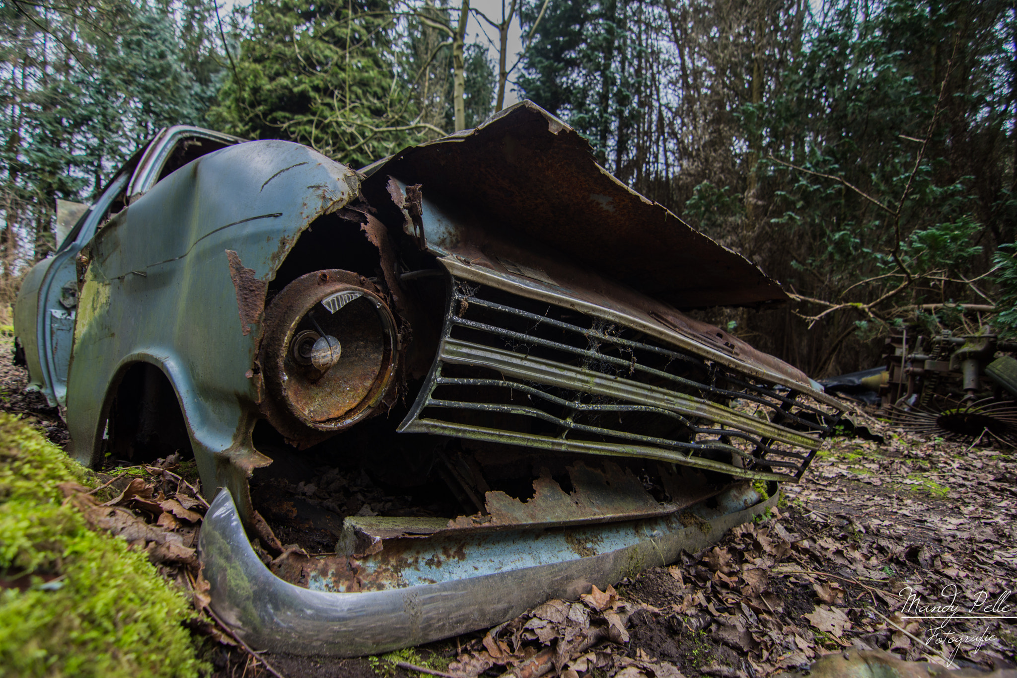 Tokina AT-X Pro 11-16mm F2.8 DX sample photo. Lost in the woods photography