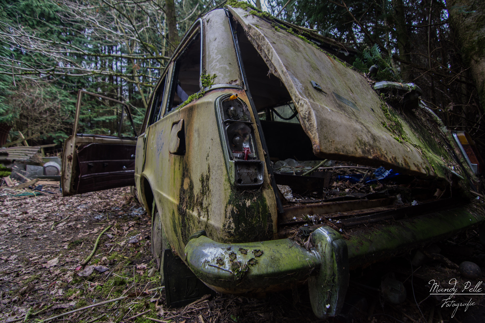 Tokina AT-X Pro 11-16mm F2.8 DX sample photo. Lost in the woods photography