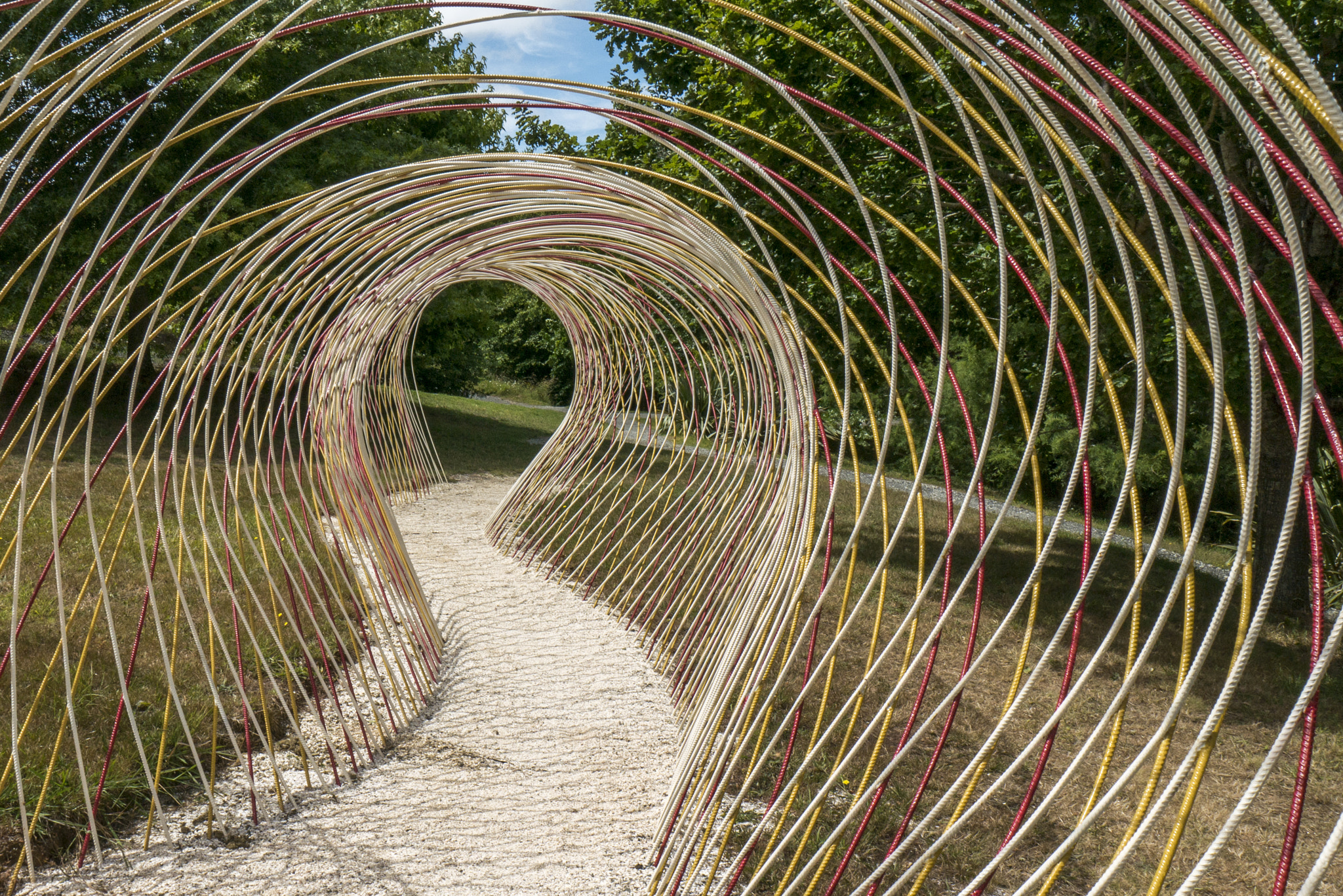 Panasonic Lumix DMC-G7 sample photo. Twisted pathway photography