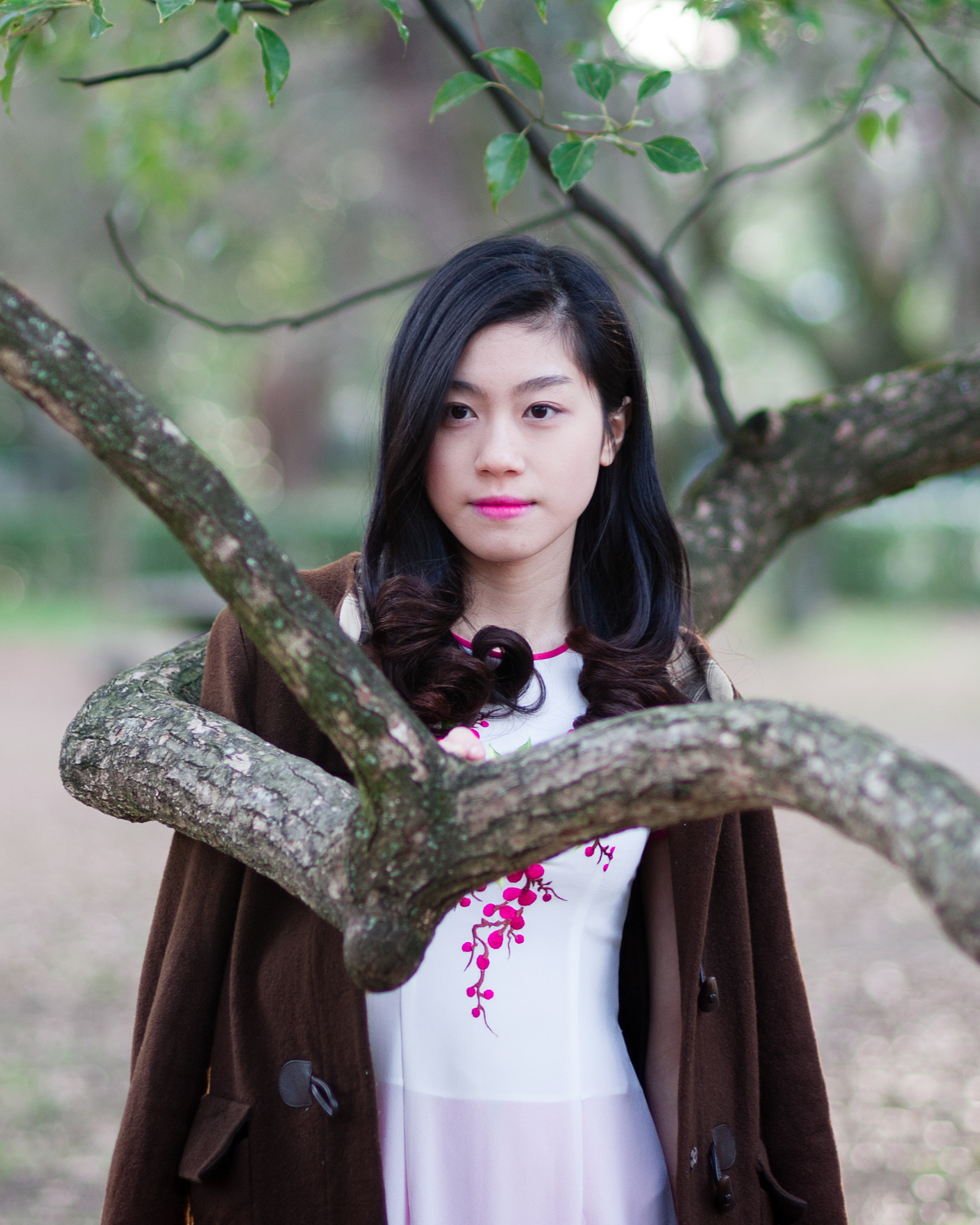 Nikon D700 + Nikon AF Nikkor 85mm F1.8D sample photo. Embraced by a tree photography