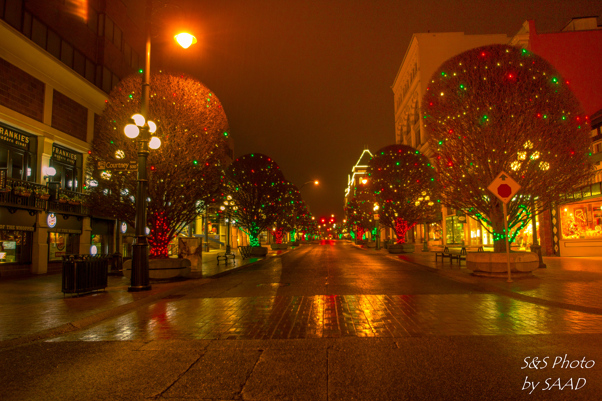 Sigma 10-20mm F3.5 EX DC HSM sample photo. Christmas lights photography