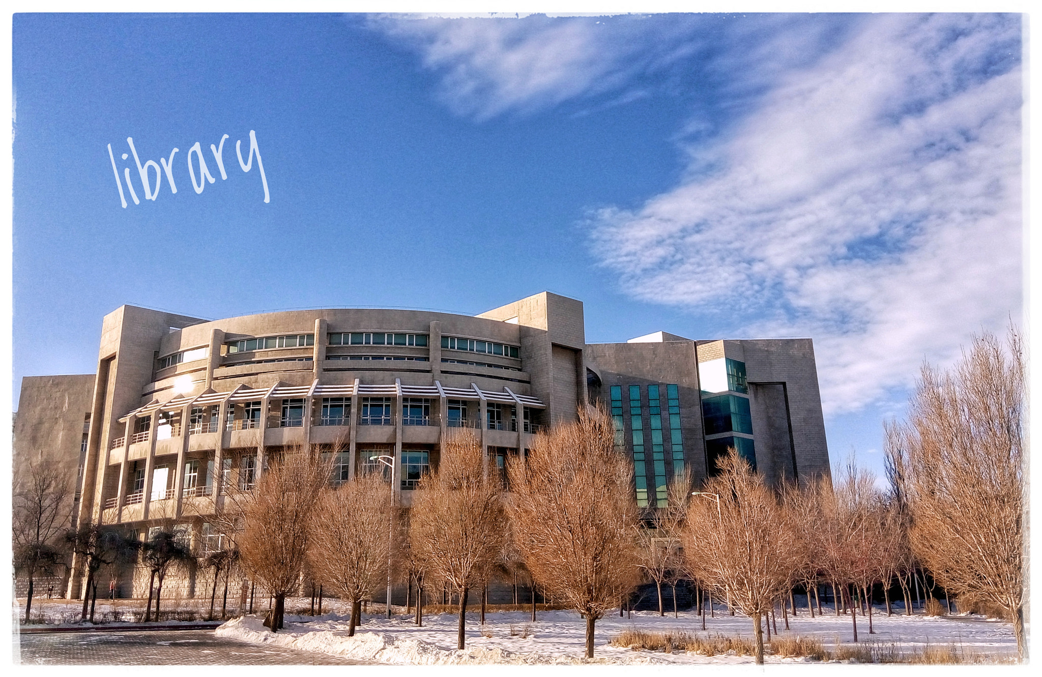 Meizu m1 note sample photo. Library photography