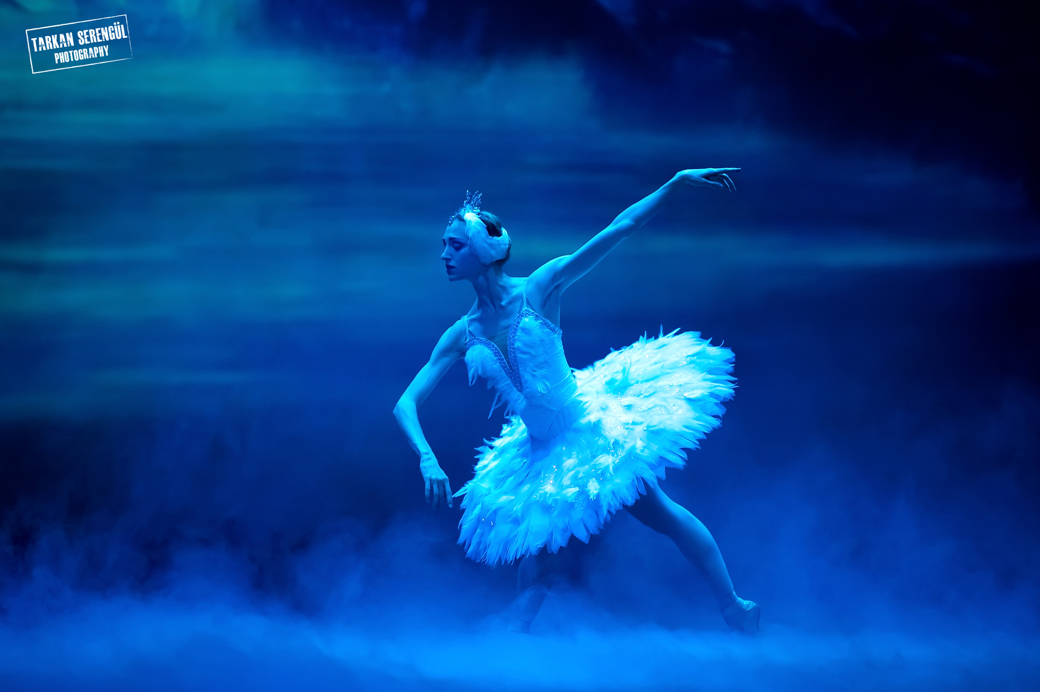 Nikon AF-S Nikkor 70-200mm F2.8G ED VR II sample photo. Swan lake photography