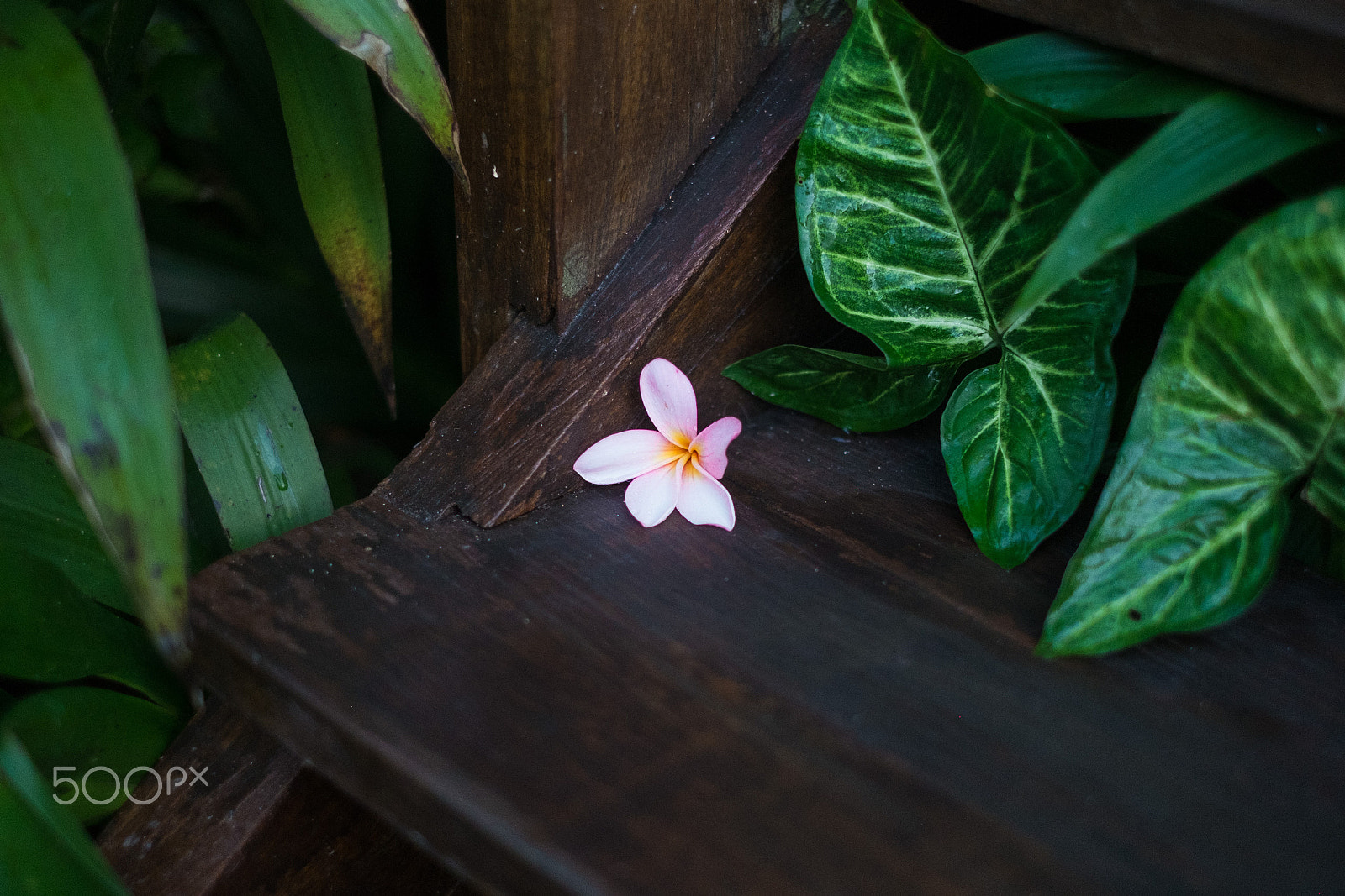 Fujifilm X-E1 + Fujifilm XF 35mm F1.4 R sample photo. Bali photography