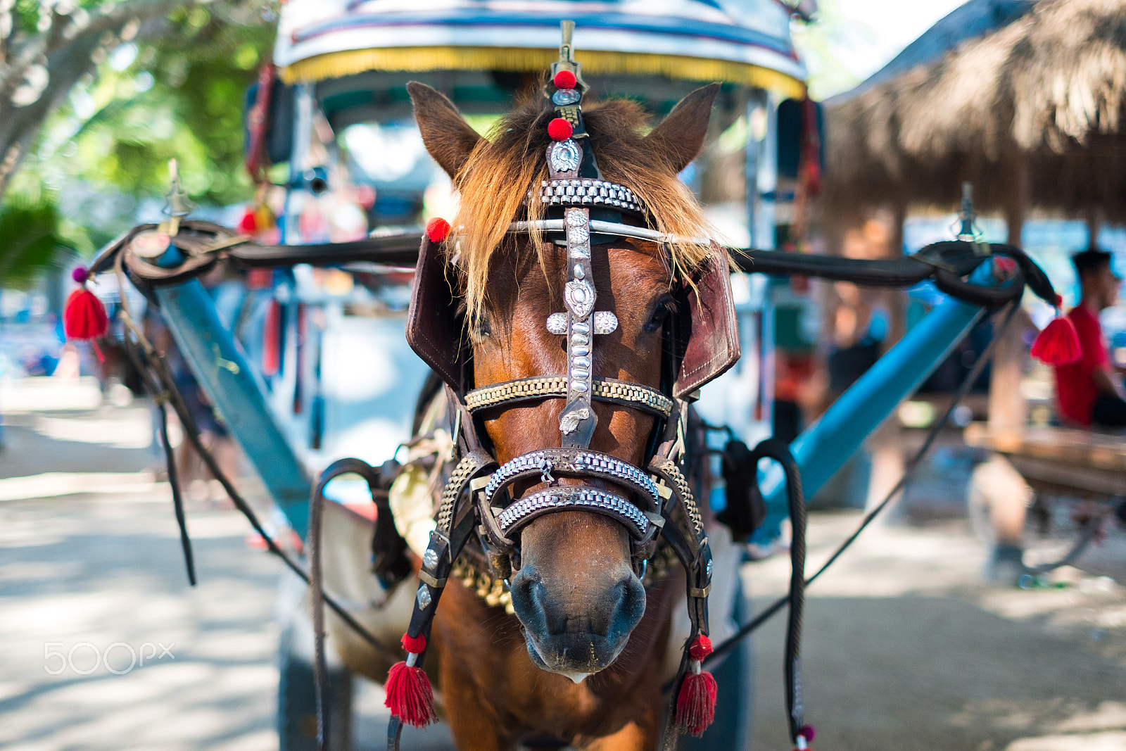 Fujifilm X-E1 + Fujifilm XF 35mm F1.4 R sample photo. Bali photography