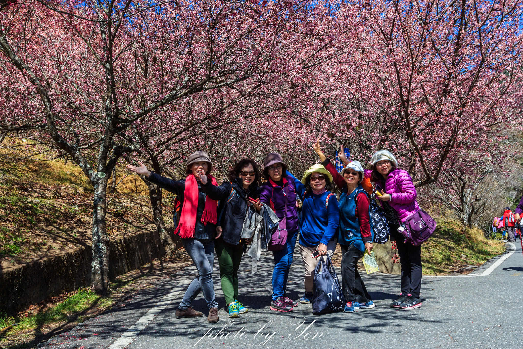 Canon EF 16-35mm F2.8L II USM sample photo. 微笑。櫻花 photography
