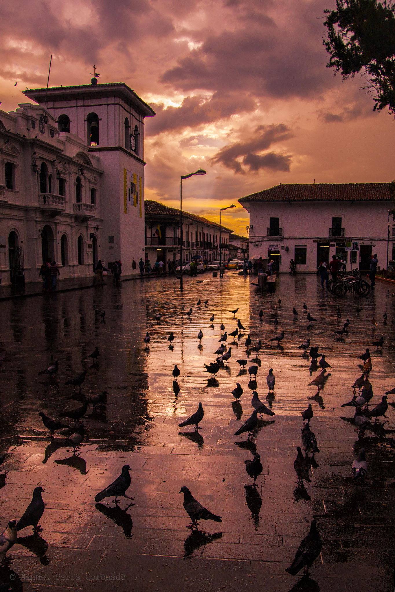 Canon EOS-1Ds Mark III sample photo. Torre del reloj - popayán photography