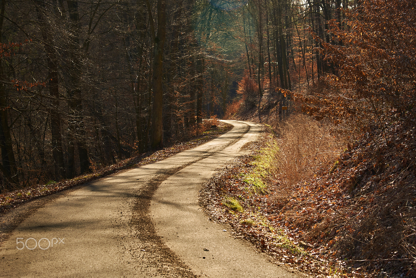 Nikon AF-S Nikkor 24-120mm F4G ED VR sample photo. Winding road photography