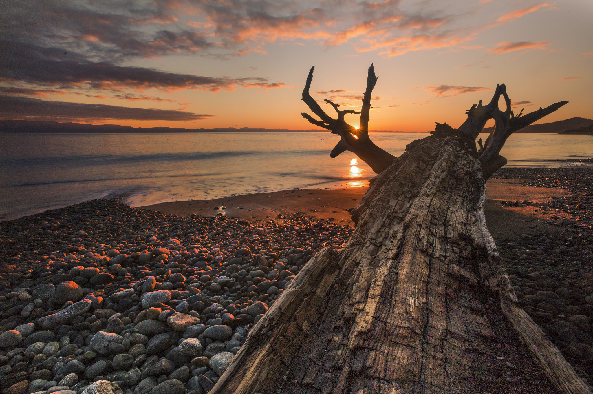 Canon EF 16-35mm F2.8L USM sample photo. Old tree and the sea. photography