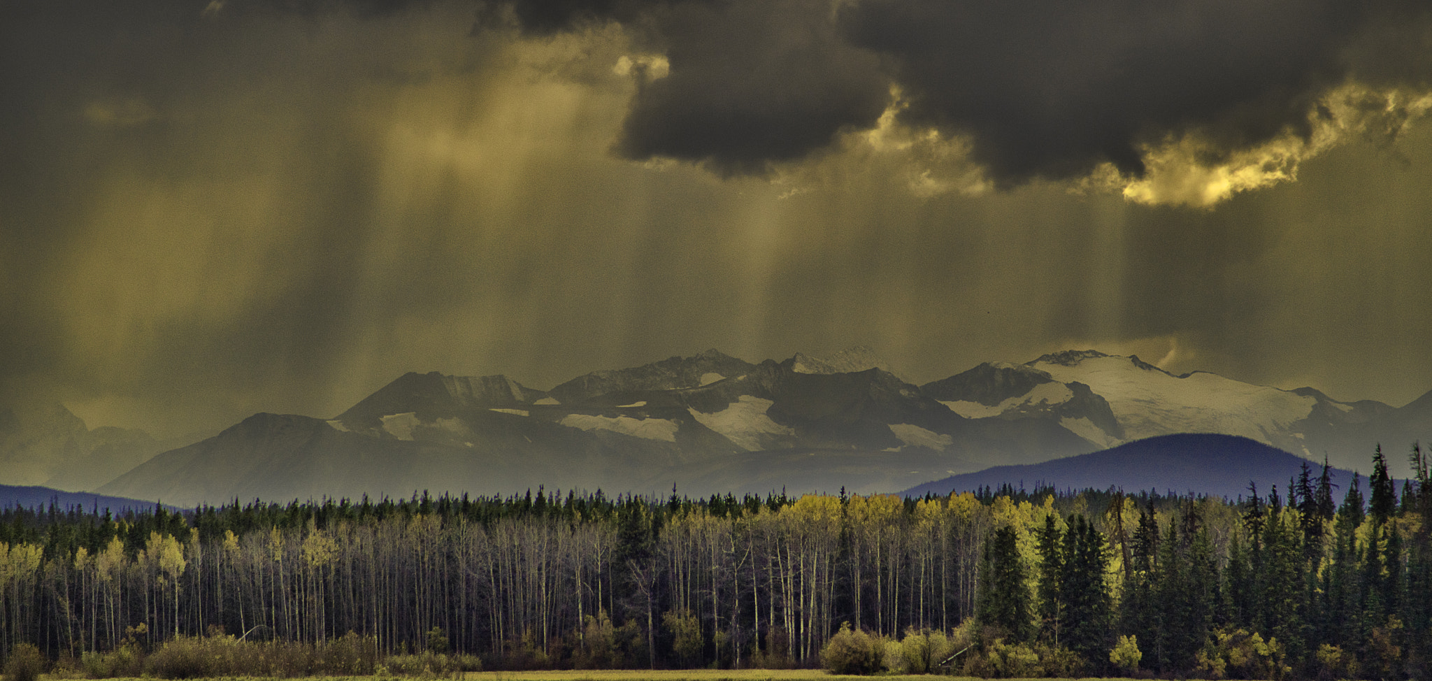 Sony 75-300mm F4.5-5.6 sample photo. Raining light photography