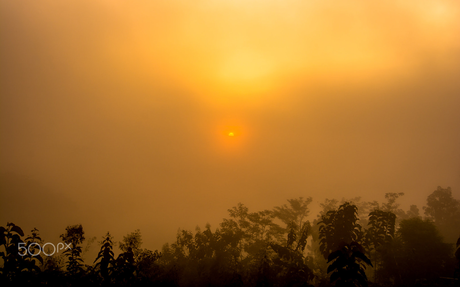 Nikon D7100 + Tokina AT-X 12-28mm F4 Pro DX sample photo. Misty sunrise photography