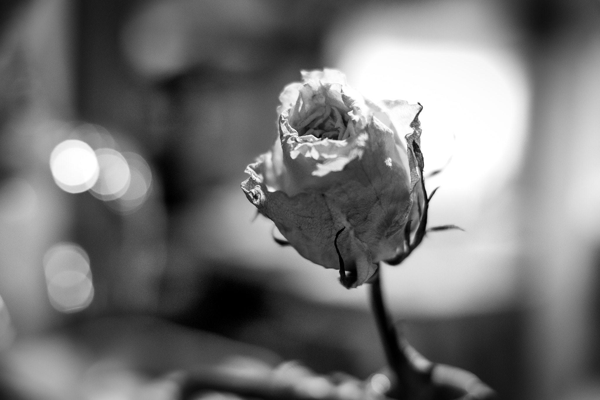 Fujifilm X-Pro1 + Fujifilm XF 35mm F1.4 R sample photo. Remembering better days photography