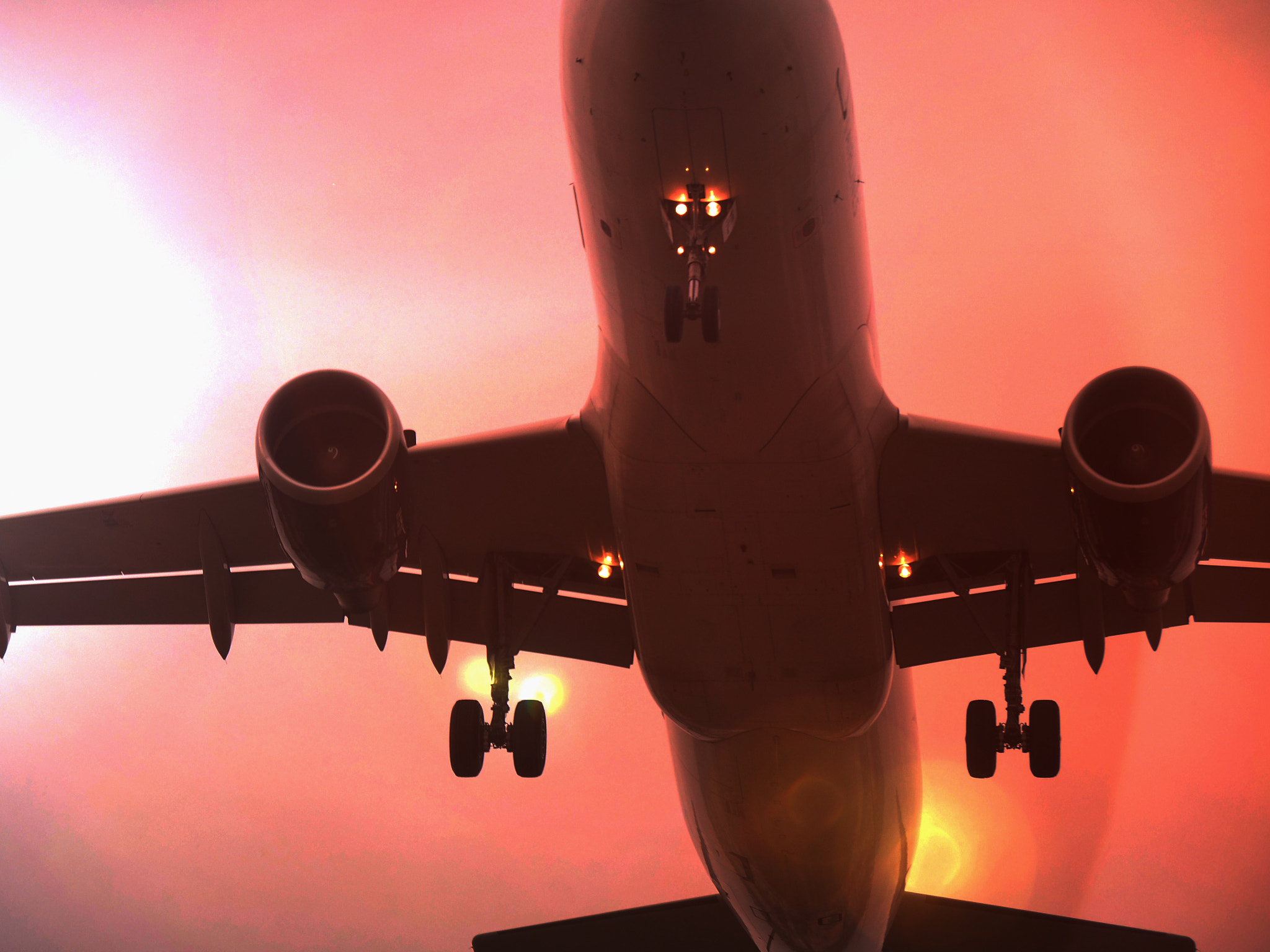 Olympus OM-D E-M1 sample photo. Landing photography