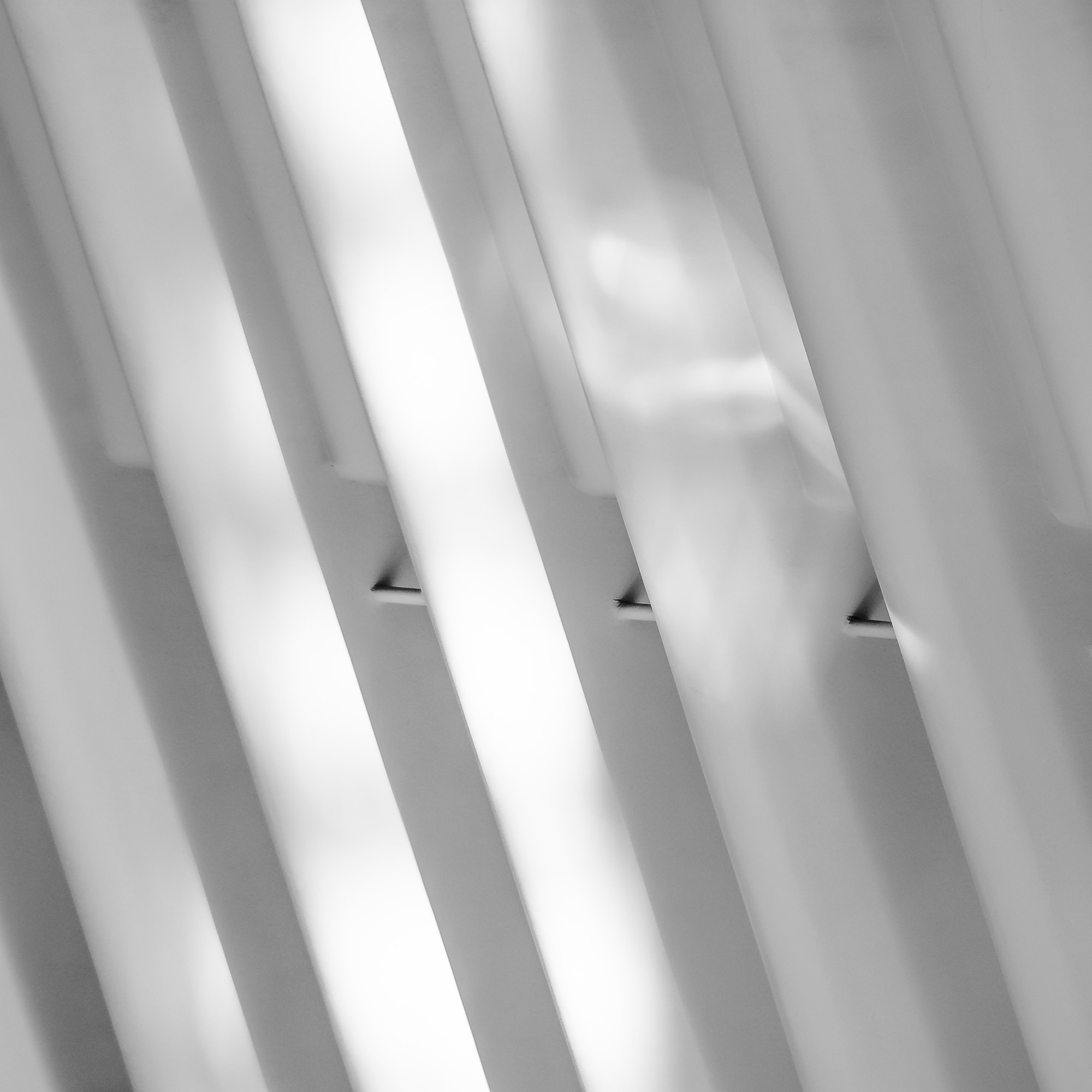 Nikon D7200 + Nikon AF-S Nikkor 300mm F4D ED-IF sample photo. Calatrava - abstract detail photography