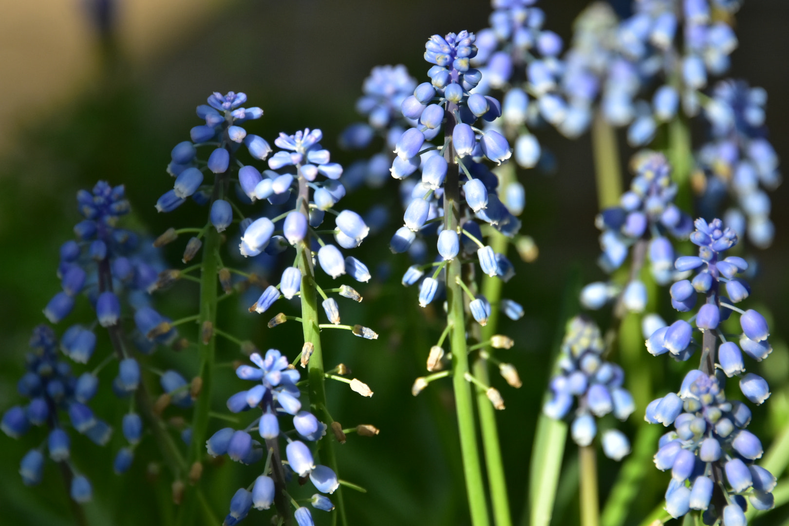 Nikon D7200 sample photo