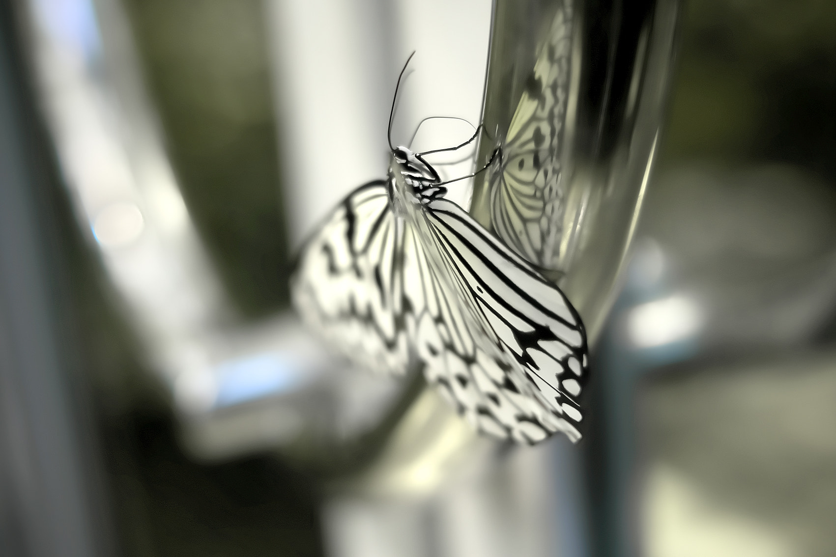 Fujifilm X-A1 sample photo. Butterfly photography