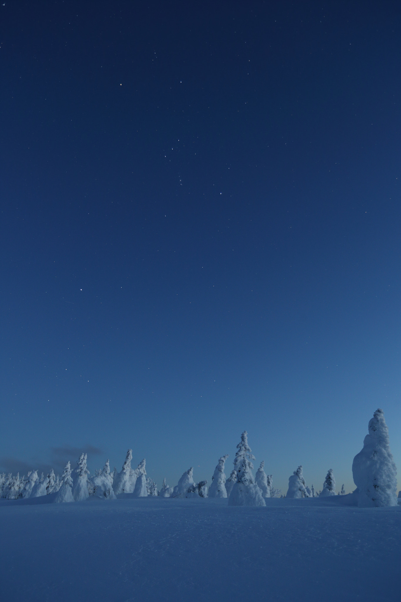Canon EF 16-35mm F2.8L II USM sample photo. Orion shines at dusk photography