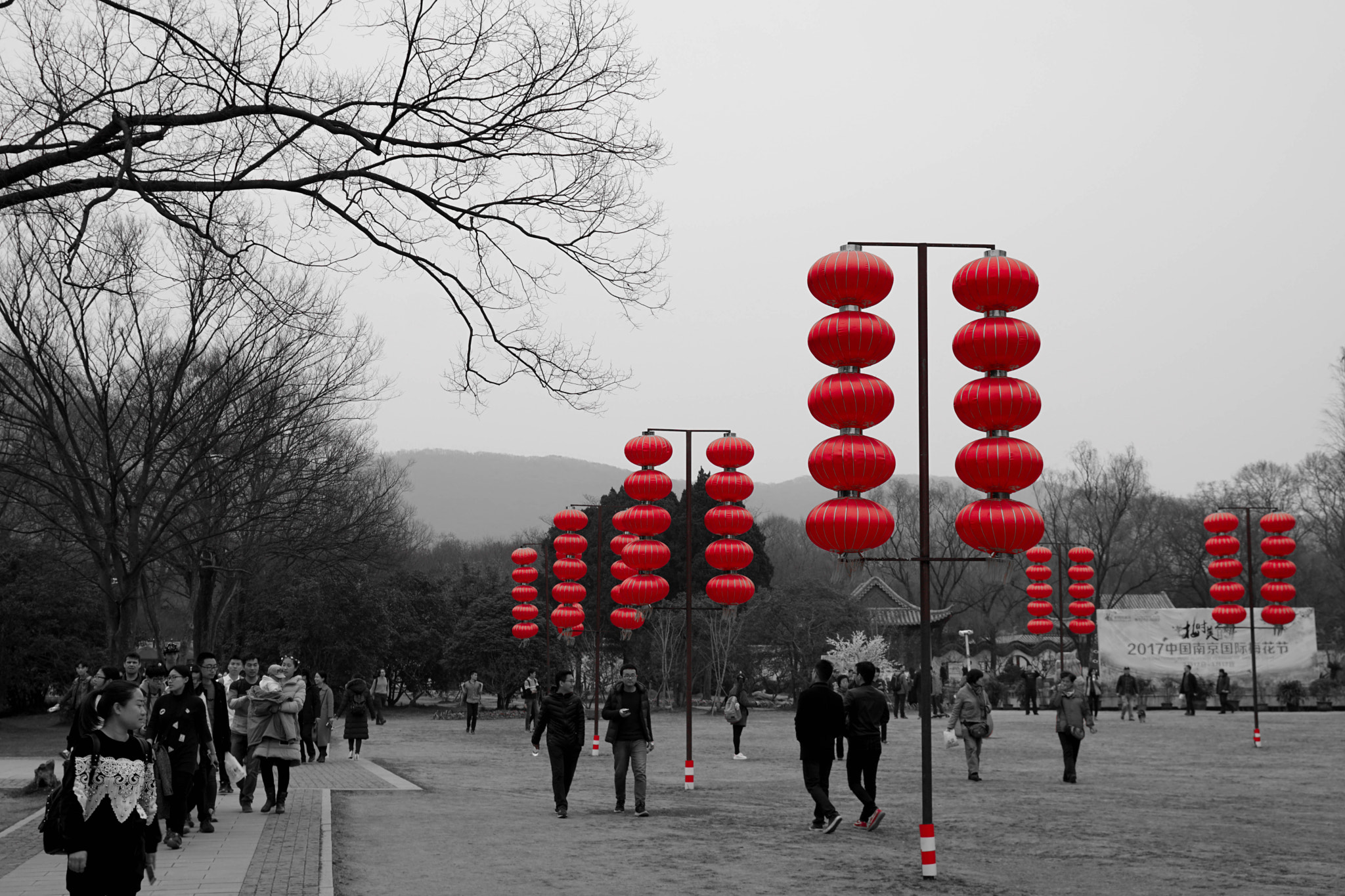 Sony a6300 + Sony Vario-Tessar T* E 16-70mm F4 ZA OSS sample photo. Lanterns photography