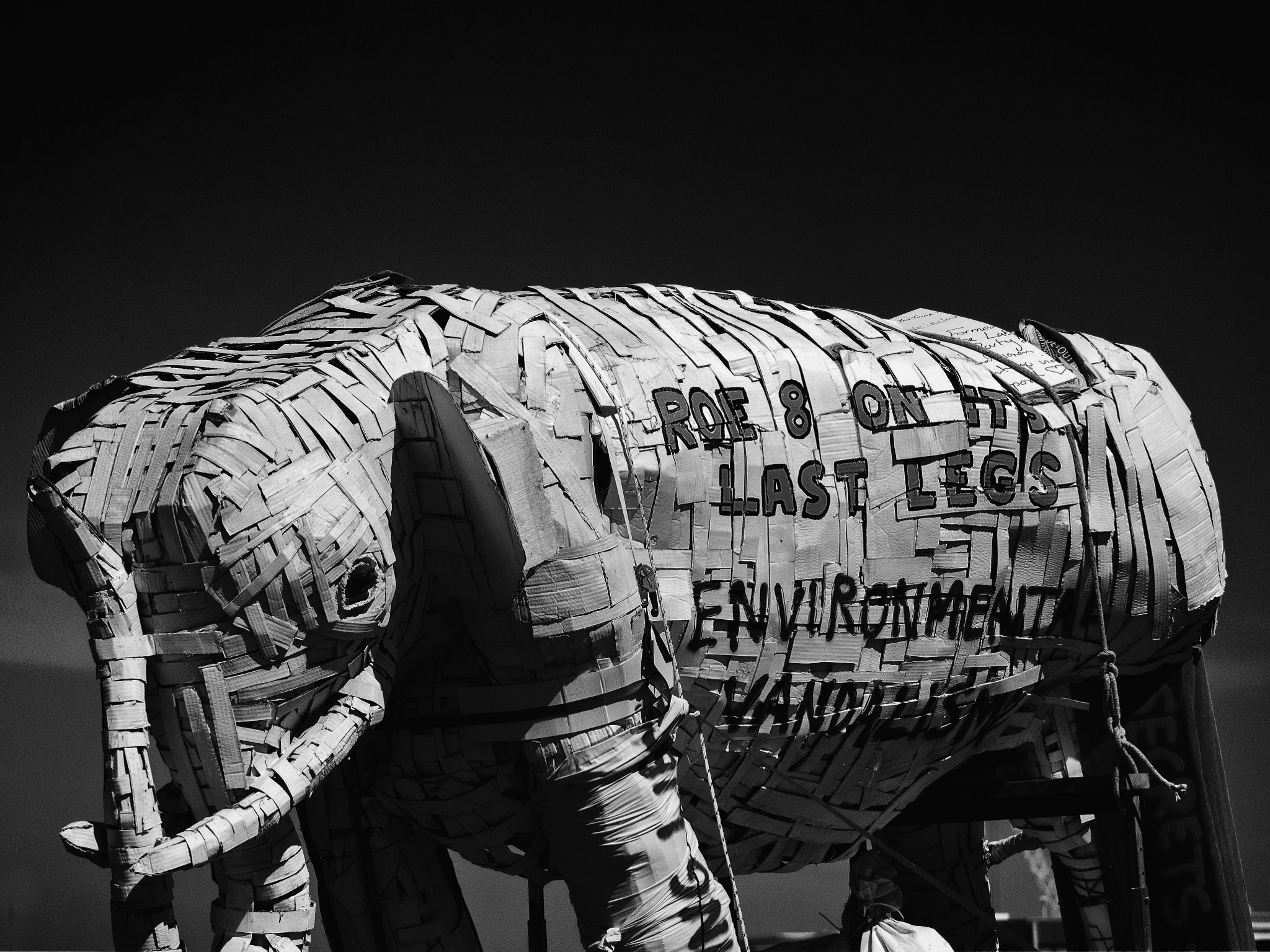Olympus OM-D E-M1 sample photo. { white elelephant - roe 8} photography
