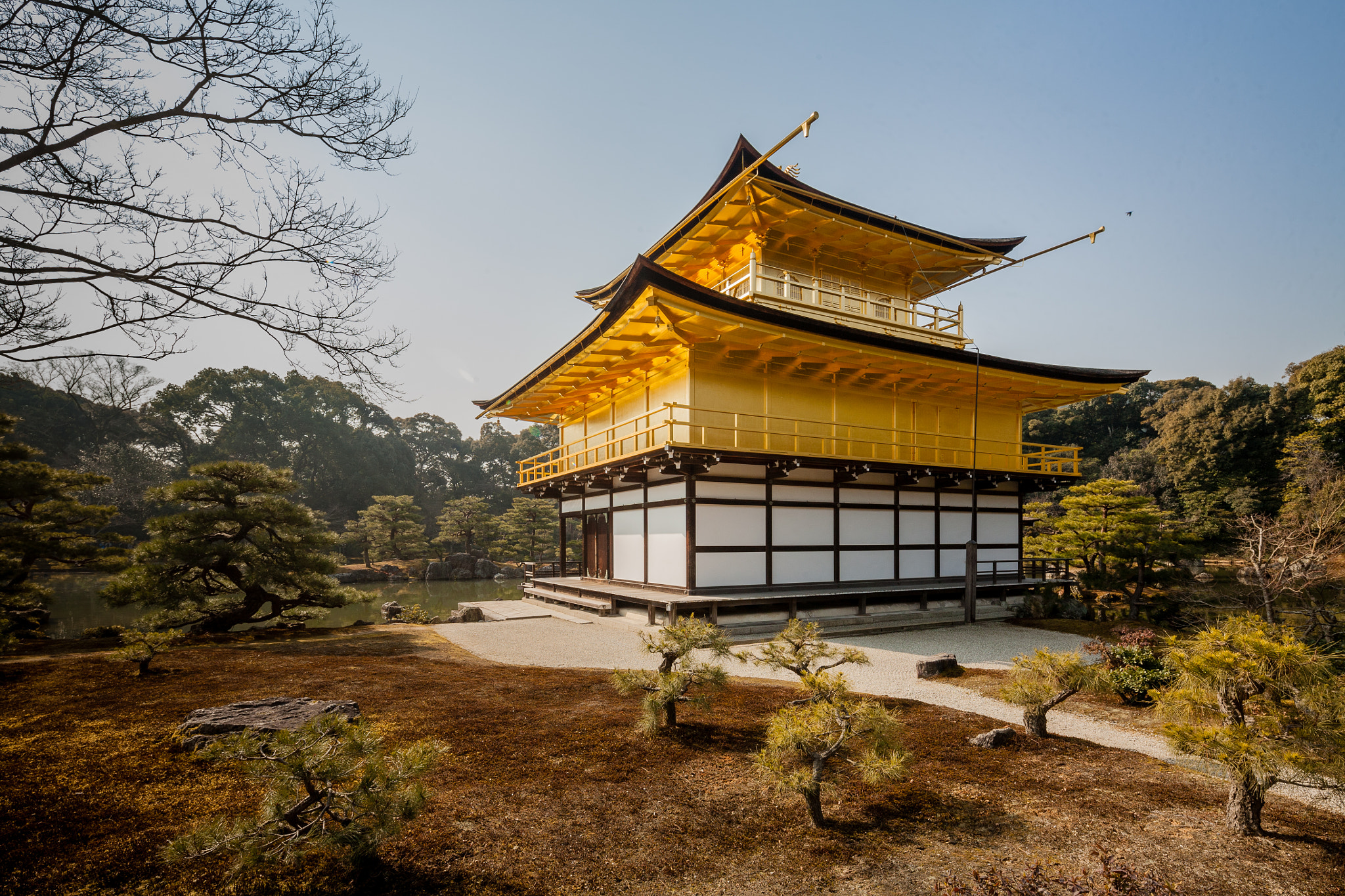 Canon TS-E 17mm F4L Tilt-Shift sample photo. Kinkakuji photography