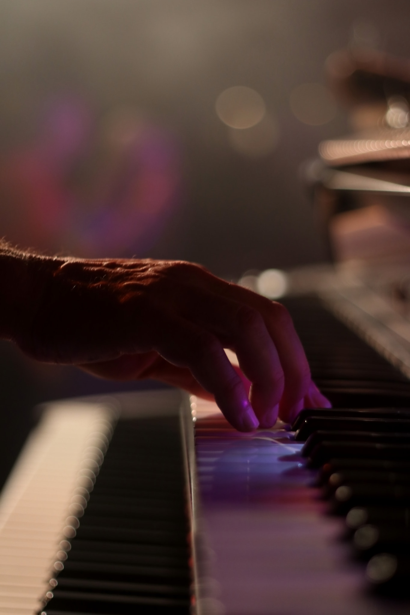 Canon EOS 80D + Canon EF 50mm F1.8 II sample photo. The pianist photography