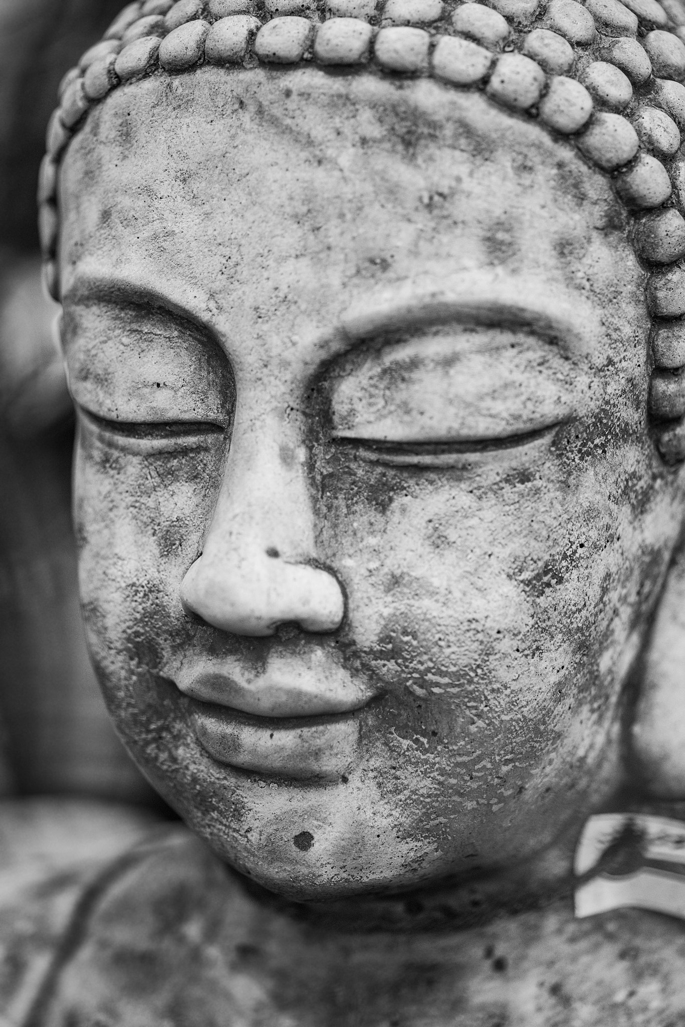 Nikon D800 + Sigma 105mm F2.8 EX DG Macro sample photo. Stunning buddha statue portrait with shallow depth of field and photography