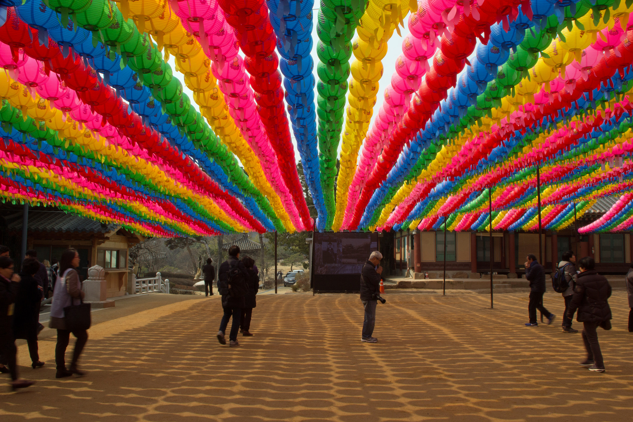 Canon EOS 60D sample photo. Explosion of colour.... photography
