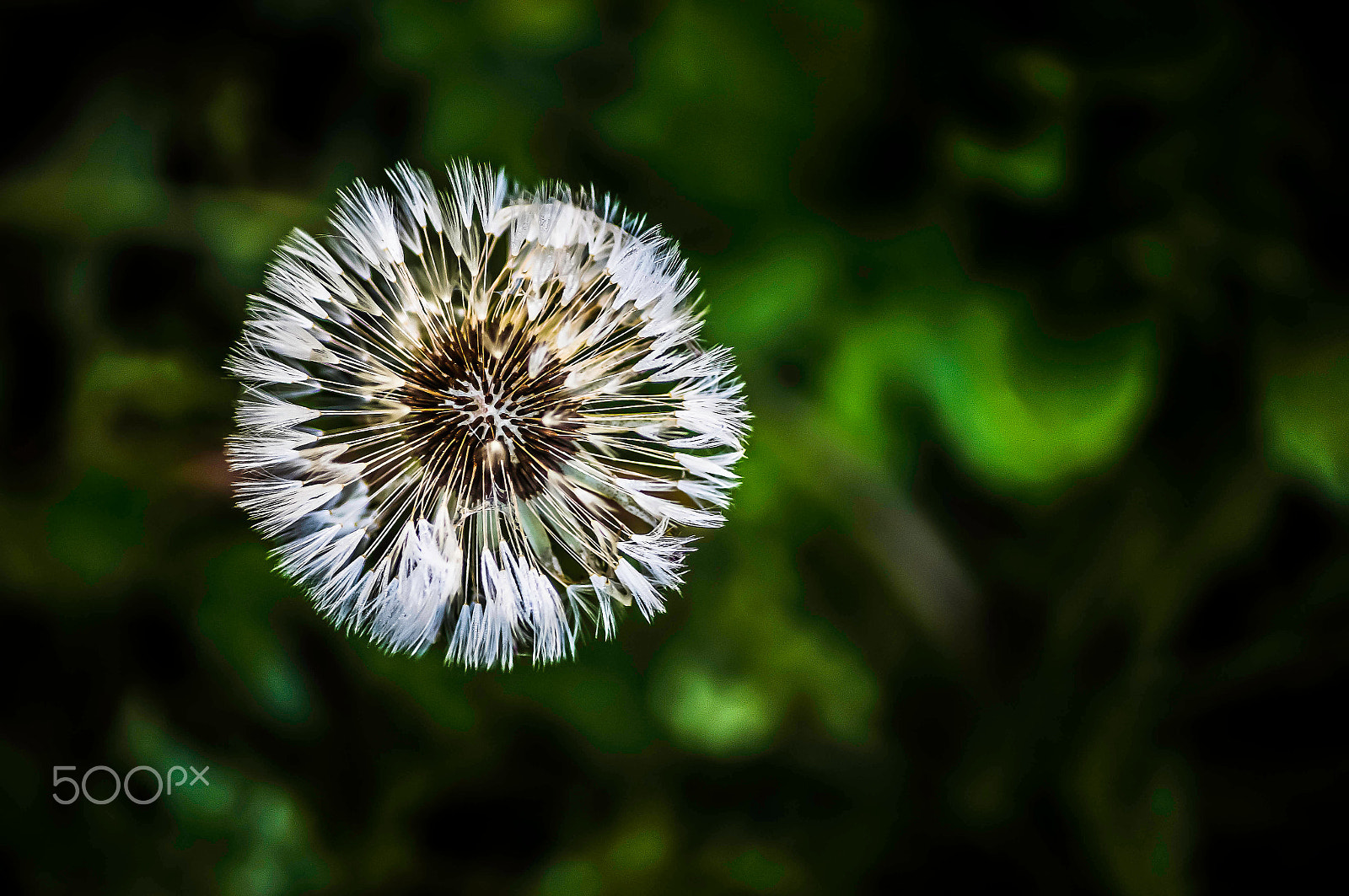 Sony SLT-A57 + Sony DT 55-200mm F4-5.6 SAM sample photo. The calm of nature! photography