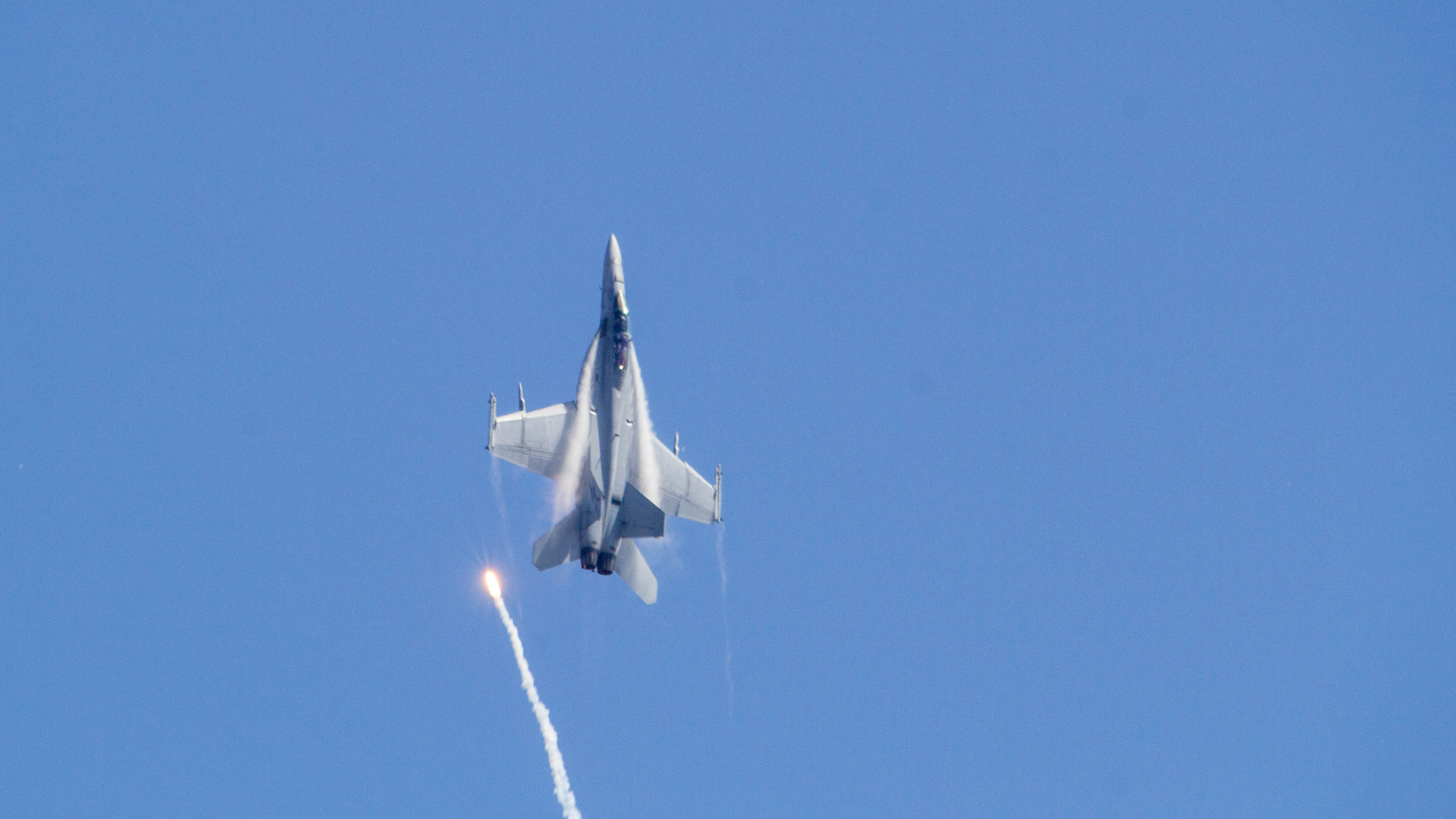 Sigma 150-500mm F5-6.3 DG OS HSM sample photo. Img photography