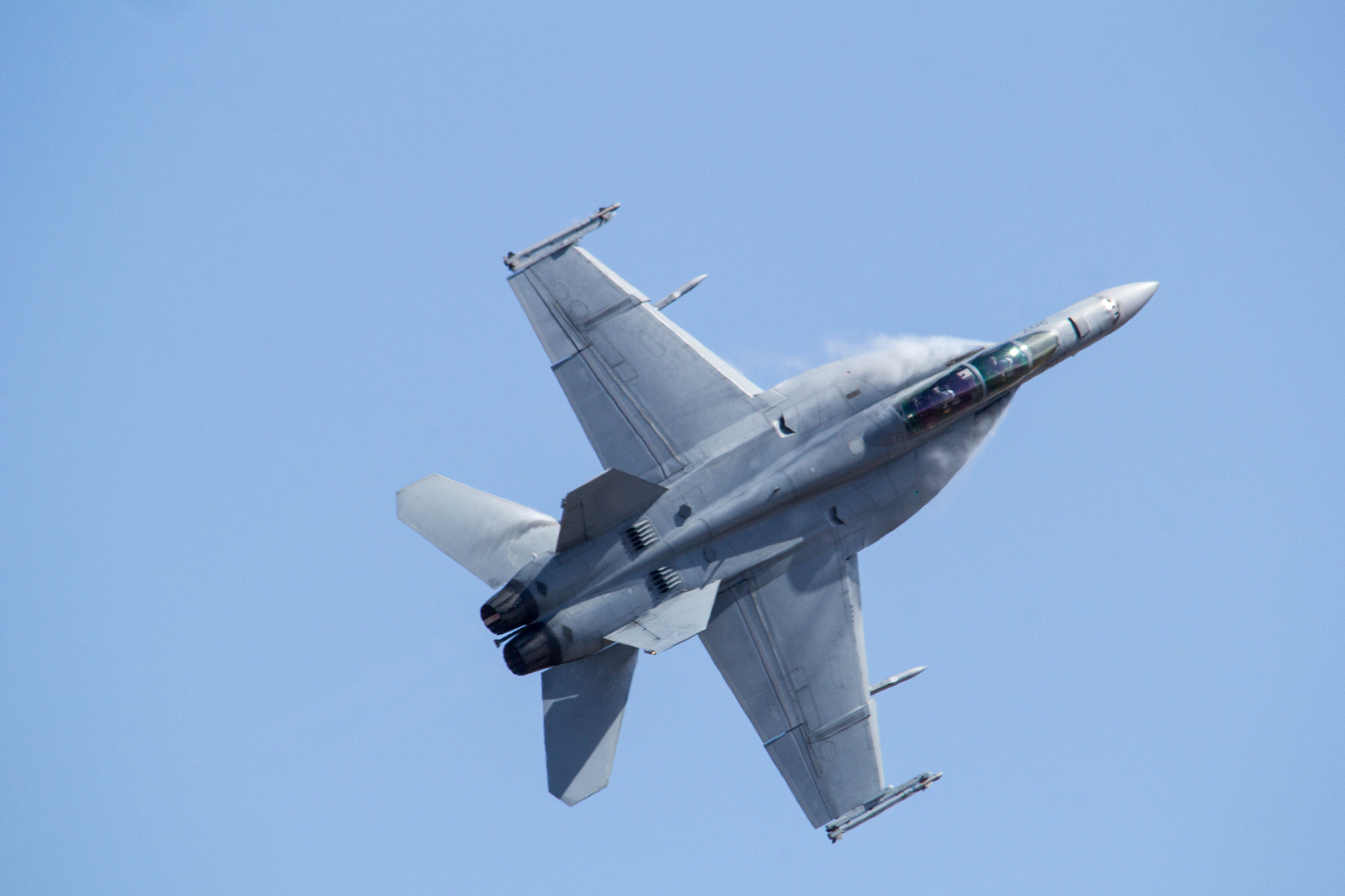 Sigma 150-500mm F5-6.3 DG OS HSM sample photo. Img photography