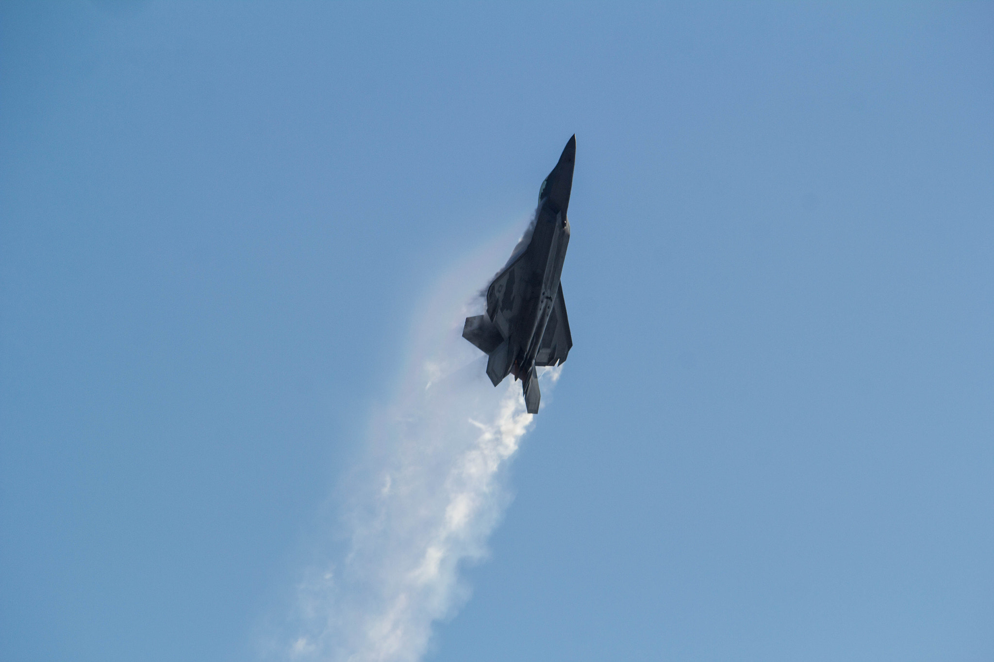 Sigma 150-500mm F5-6.3 DG OS HSM sample photo. Img photography