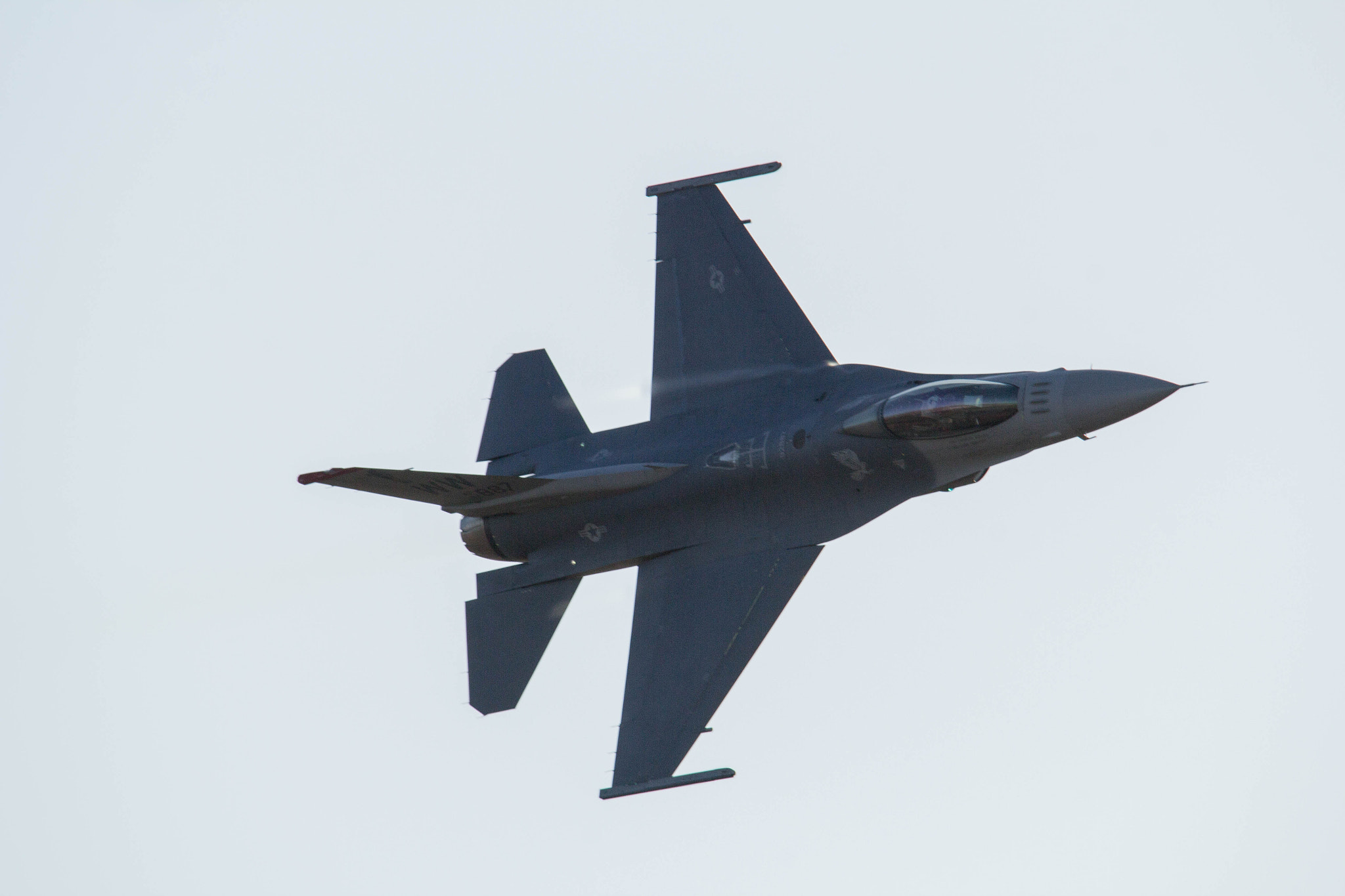 Sigma 150-500mm F5-6.3 DG OS HSM sample photo. Img photography