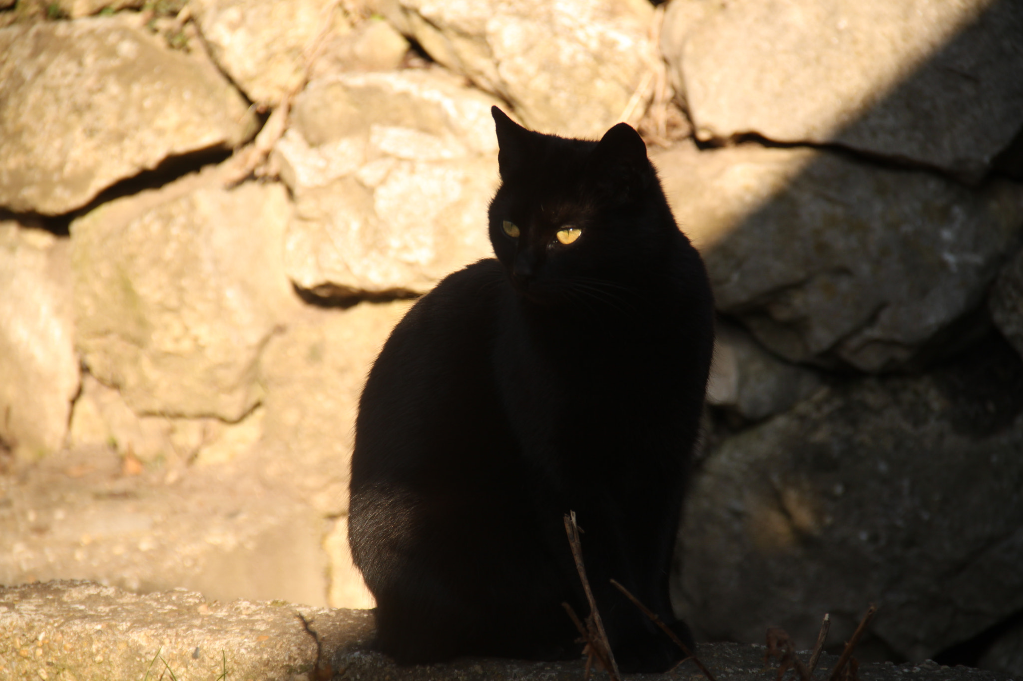 Canon EF-S 18-135mm F3.5-5.6 IS sample photo. Pipi photography