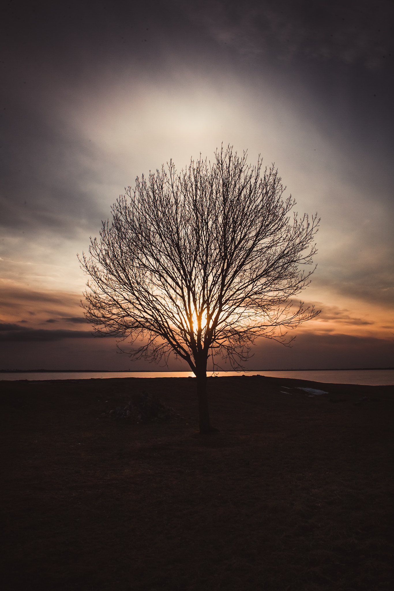 Canon EOS 5D + Canon EF 20-35mm F3.5-4.5 USM sample photo. Dream tree photography