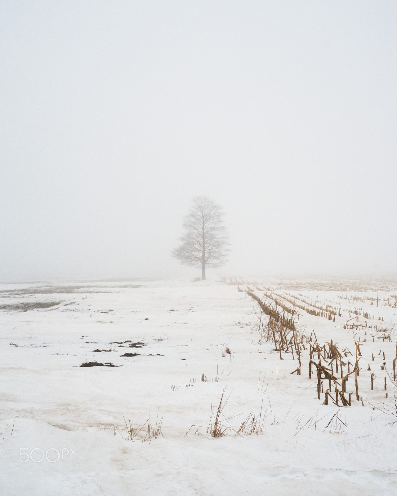 Fujifilm XF 35mm F1.4 R sample photo. Ontario photography