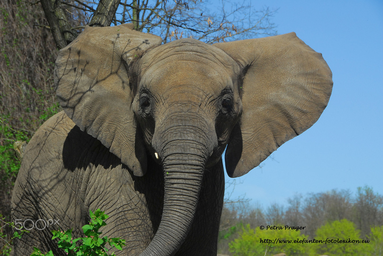 Nikon D200 sample photo. Tana photography